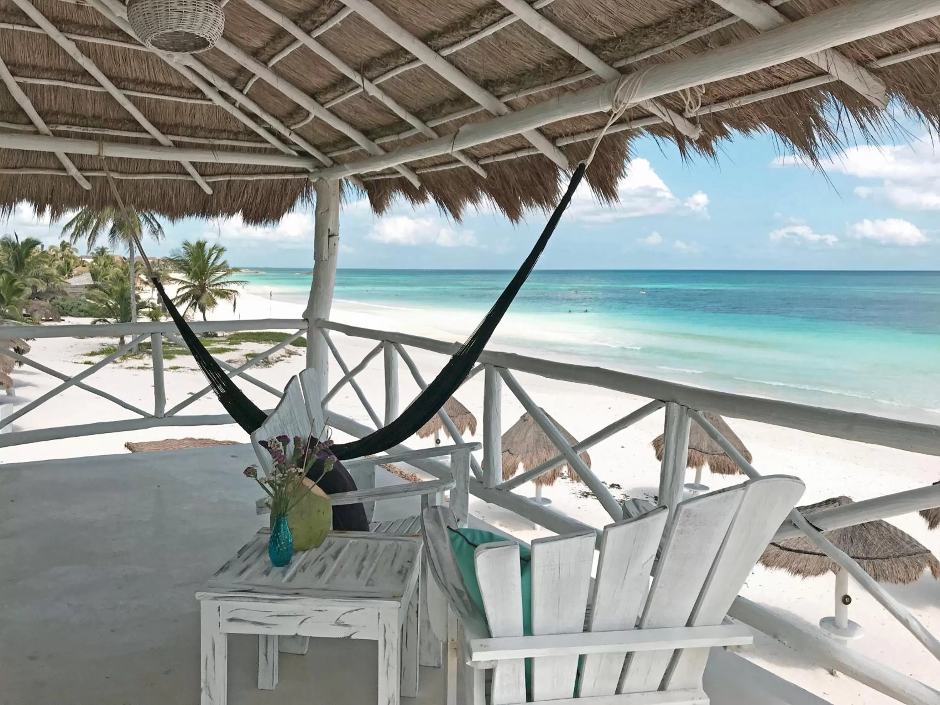 Day in Coco Unlimited