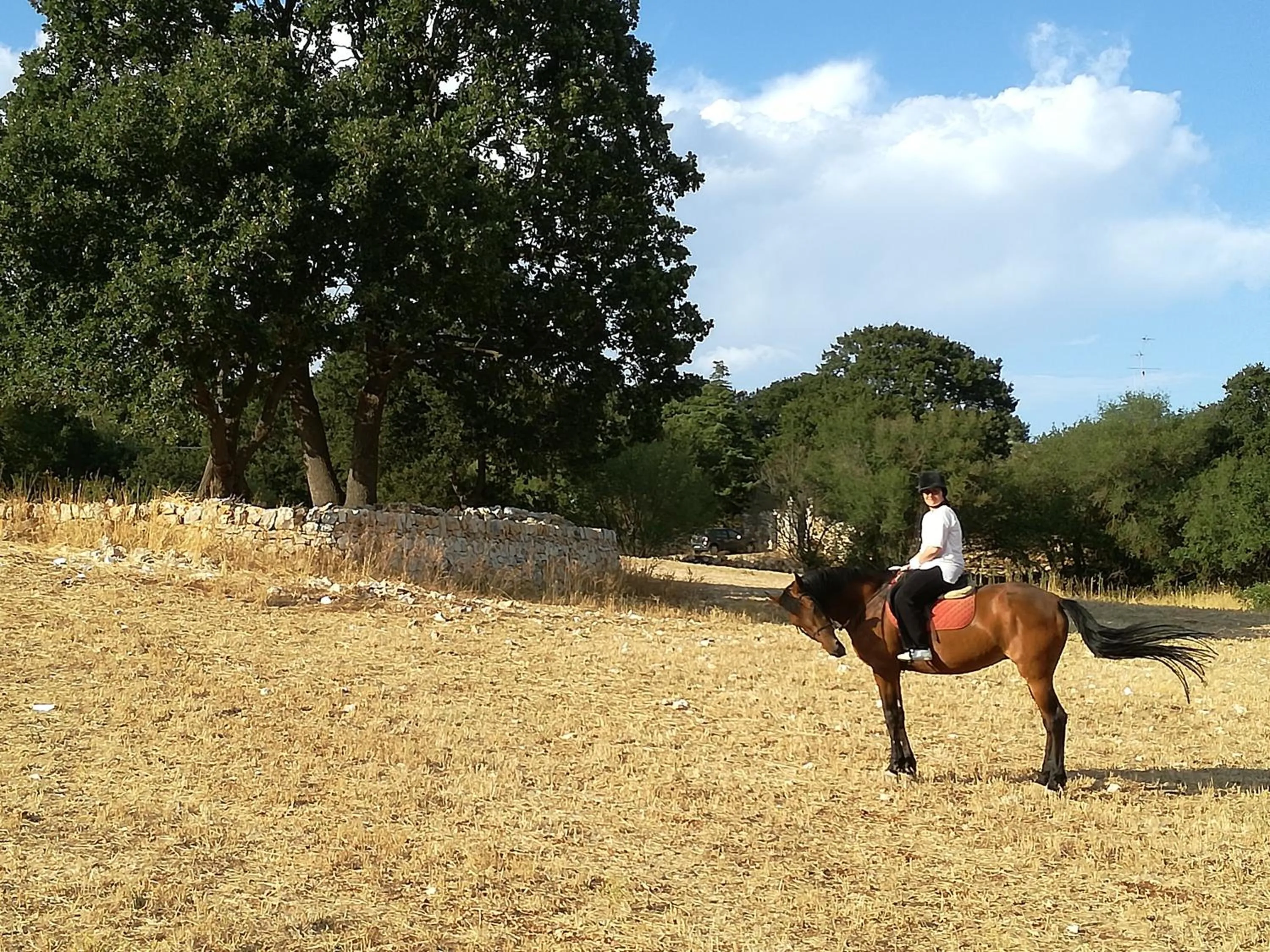 Horse-riding in Agriturismo Fasano