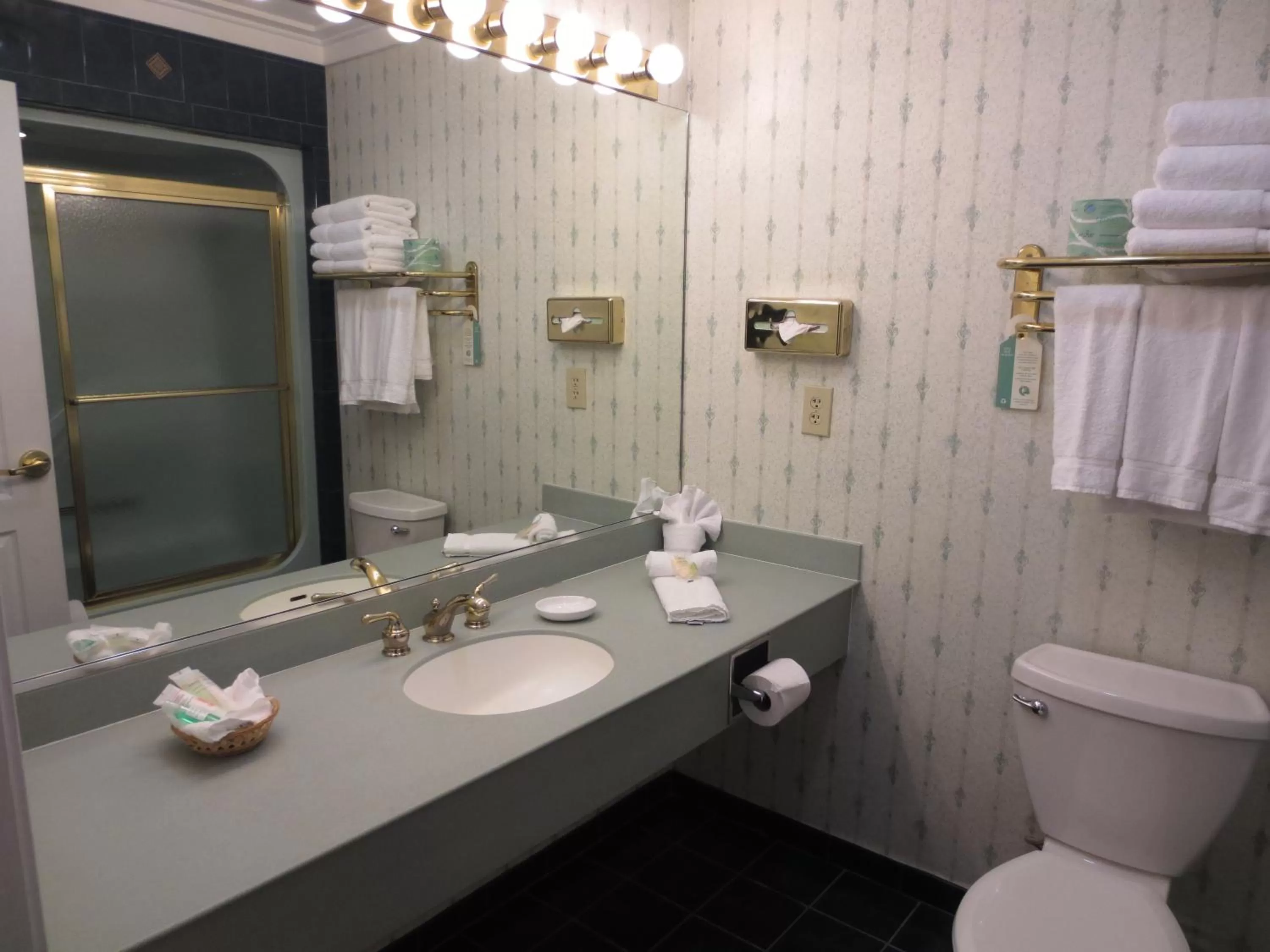 Toilet in Roosevelt Inn & Suites Saratoga Springs