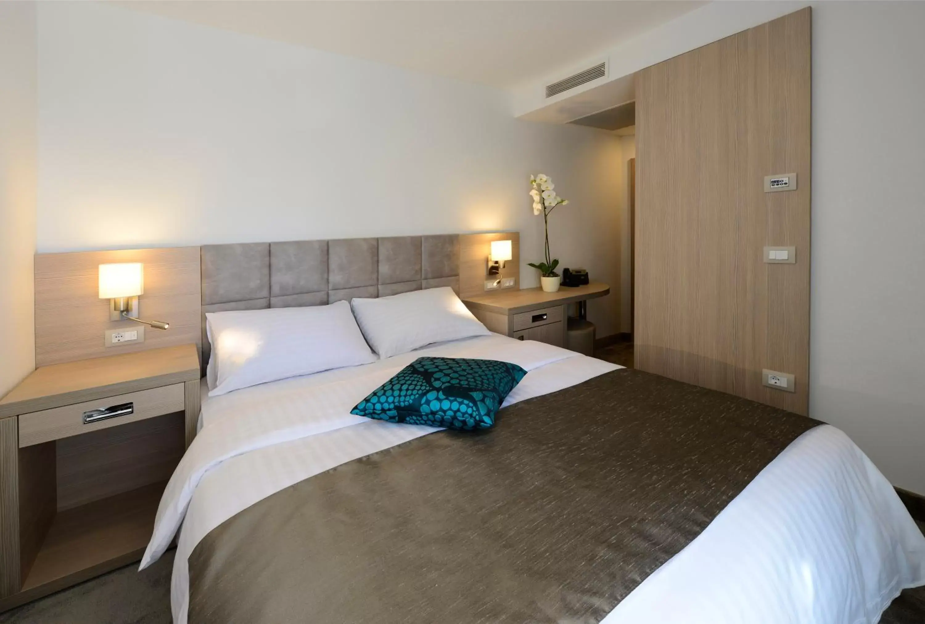 Single Room in Grand Hotel Adriatic II Single Room in Grand Hotel Adriatic II