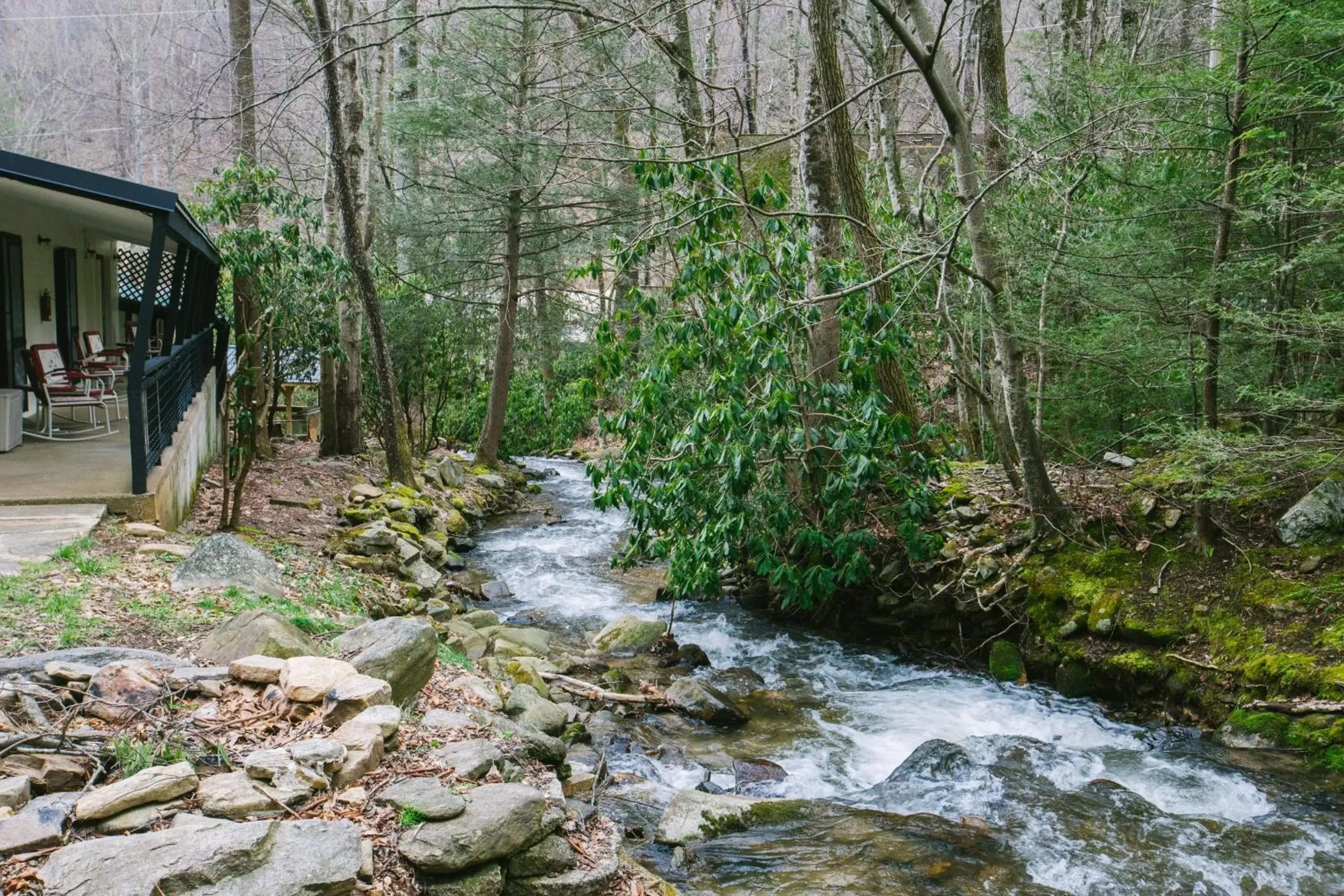 Natural landscape in Route 19 Inn