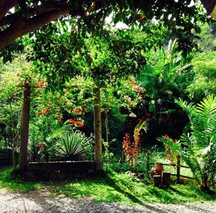 Spring in Pousada Aba da Serra