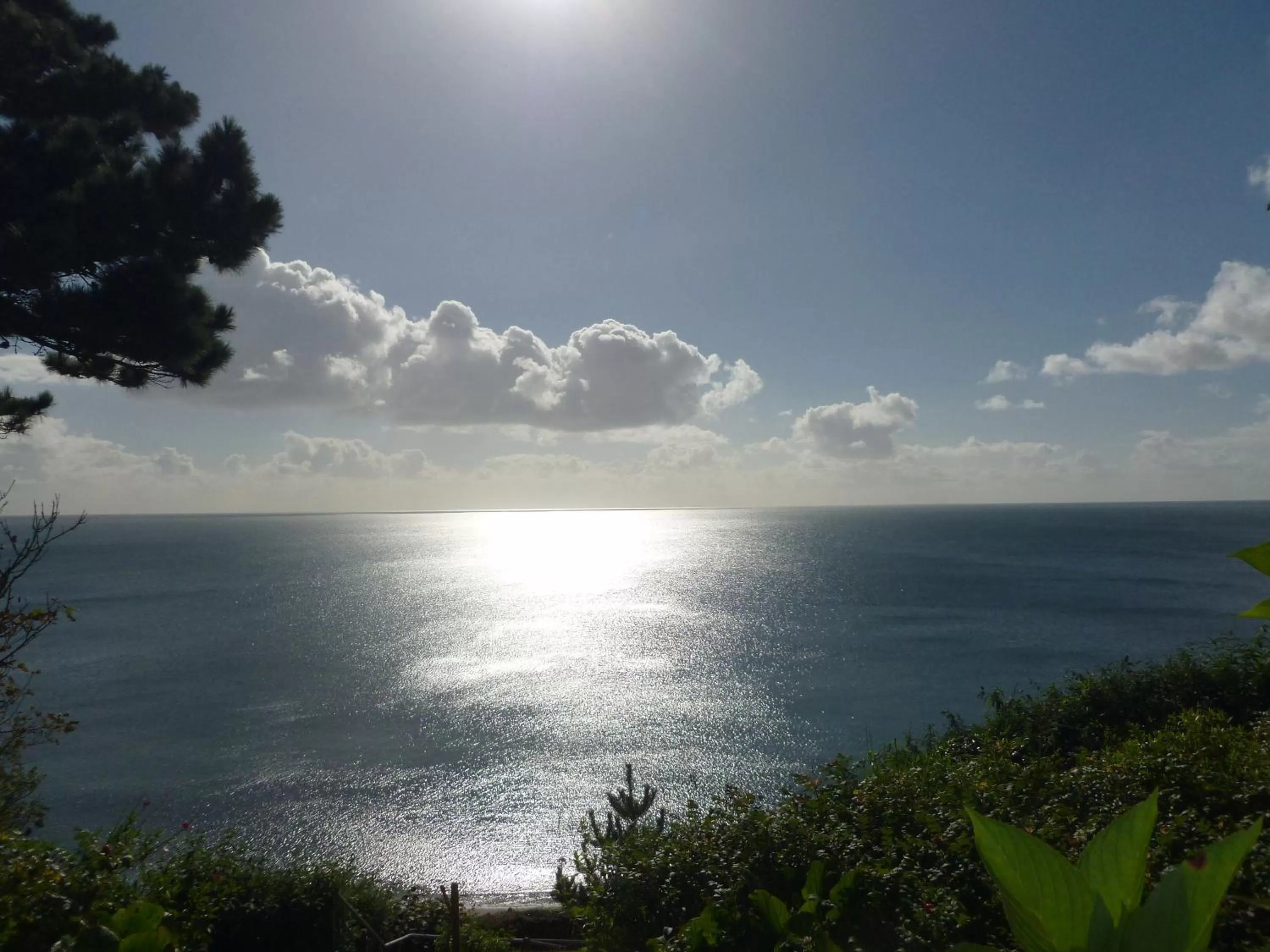 Sea view in Driftwood B&B