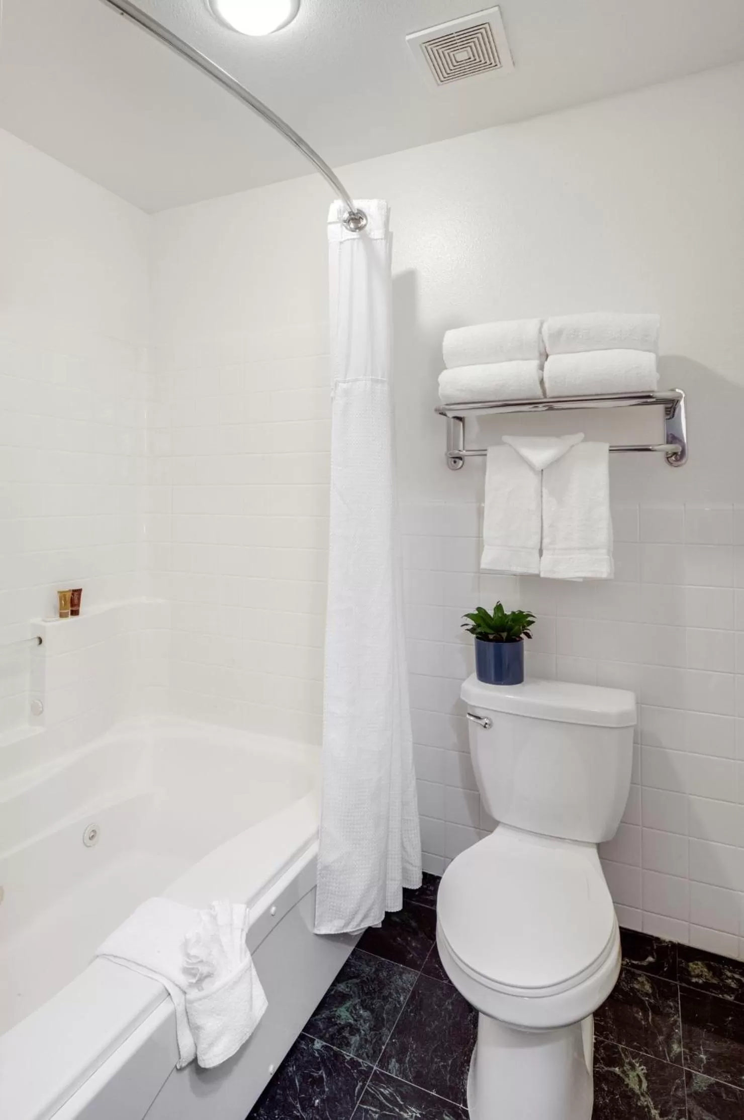 Shower in Ayres Suites Mission Viejo - Lake Forest