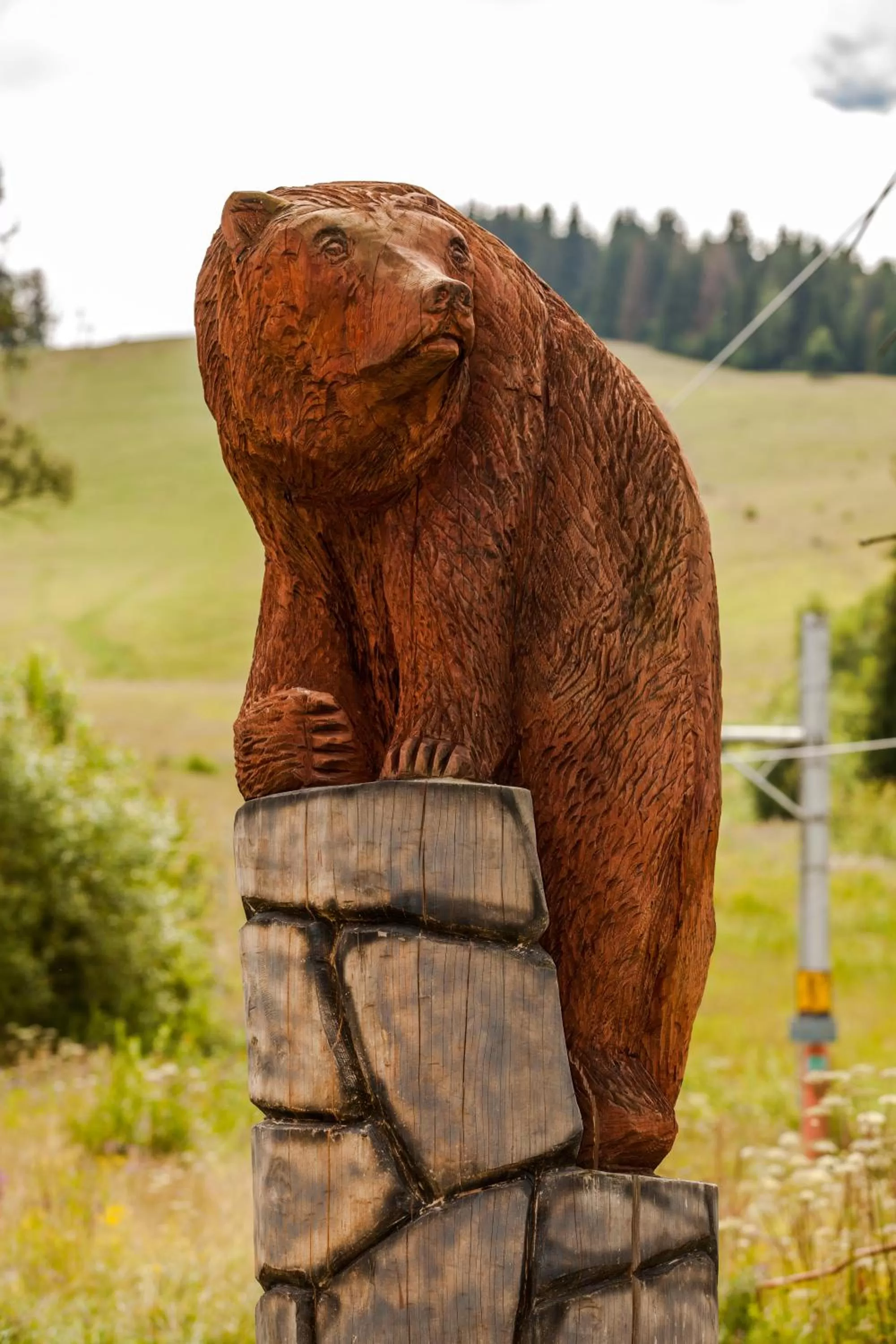 Garden in SKI CIERNY BALOG