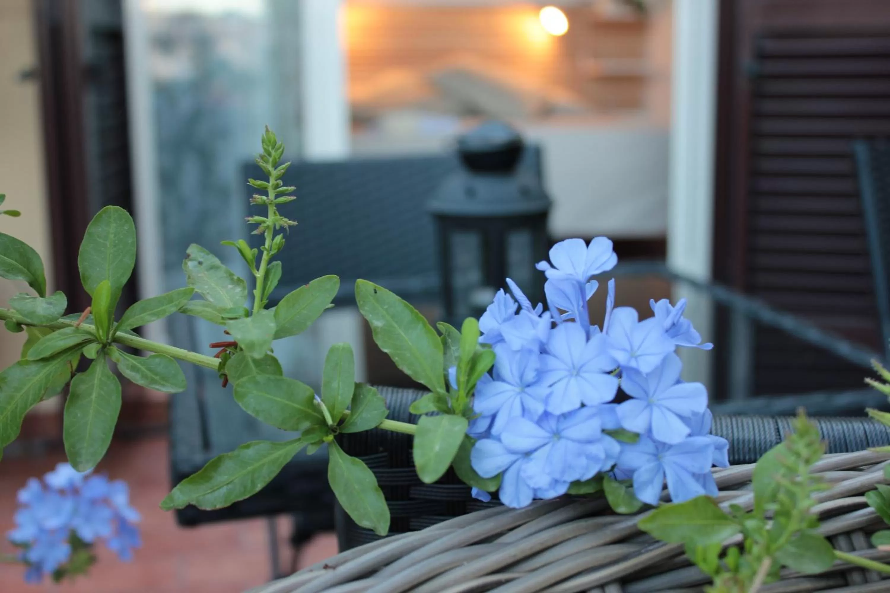 Balcony/Terrace in Terrazza Duomo