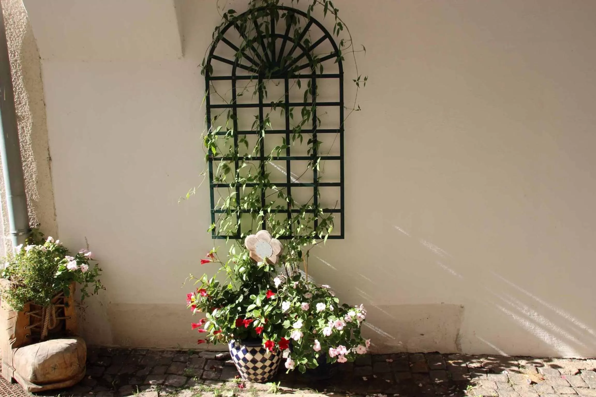 Garden in Hotel Gasthof Zum weissen Lamm