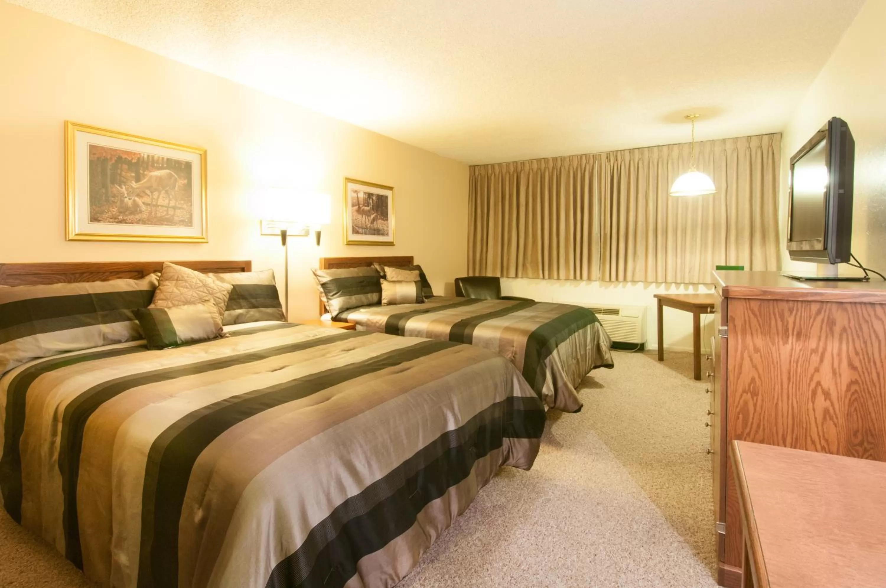 Photo of the whole room, Bed in Venture Inn