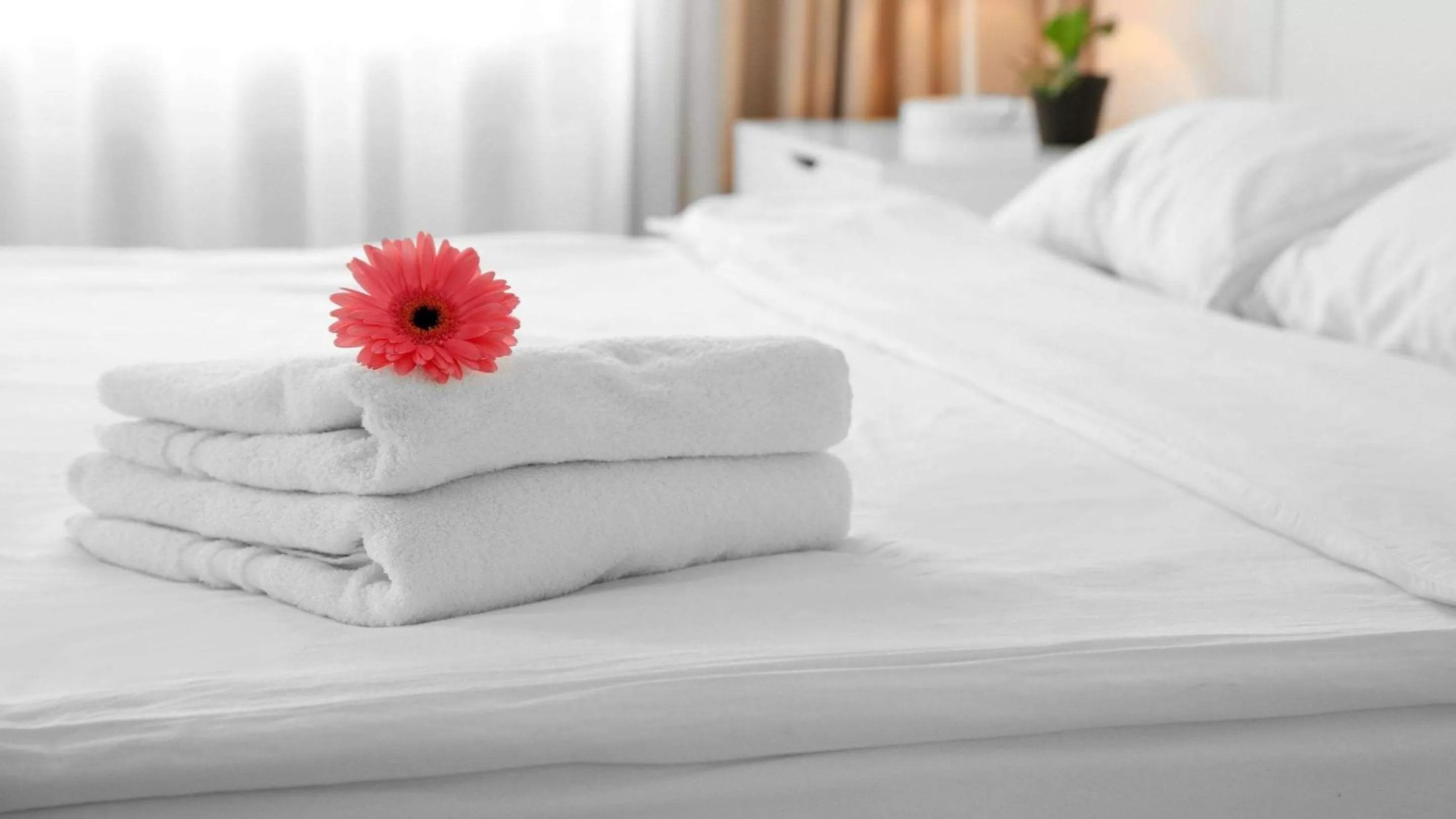 Photo of the whole room, Bed in Sun Plaza Motel