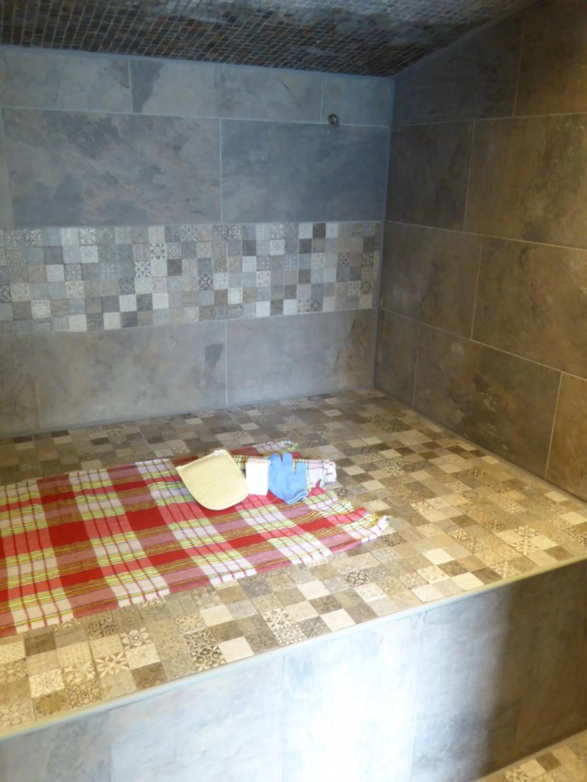 Steam room, Bed in Boutique hotel Het Bloemenhof