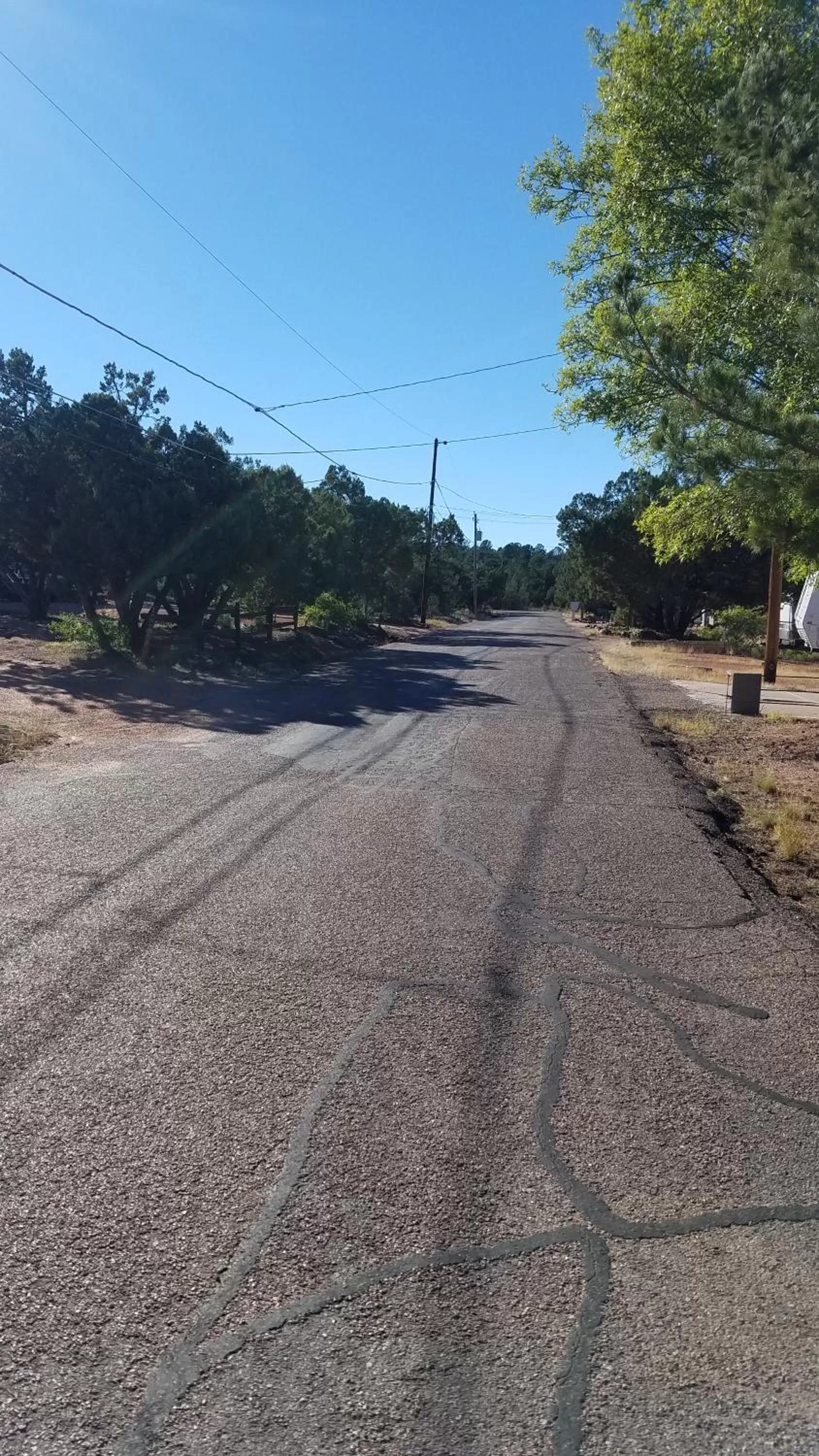 Neighbourhood in Ronnie's Resort