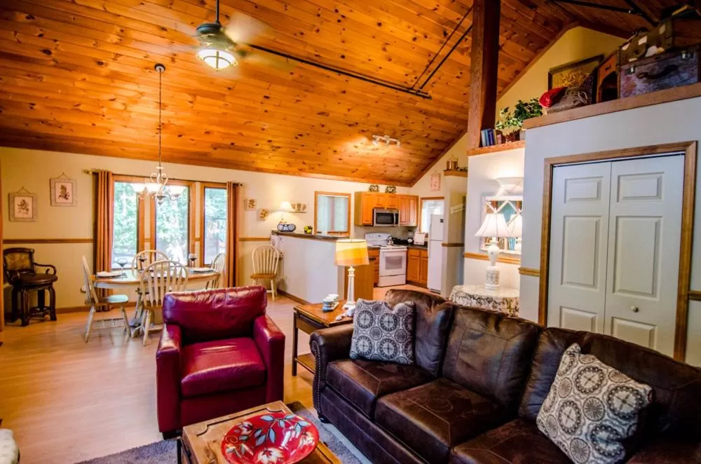 Living room, Seating Area in Asheville Cabins of Willow Winds