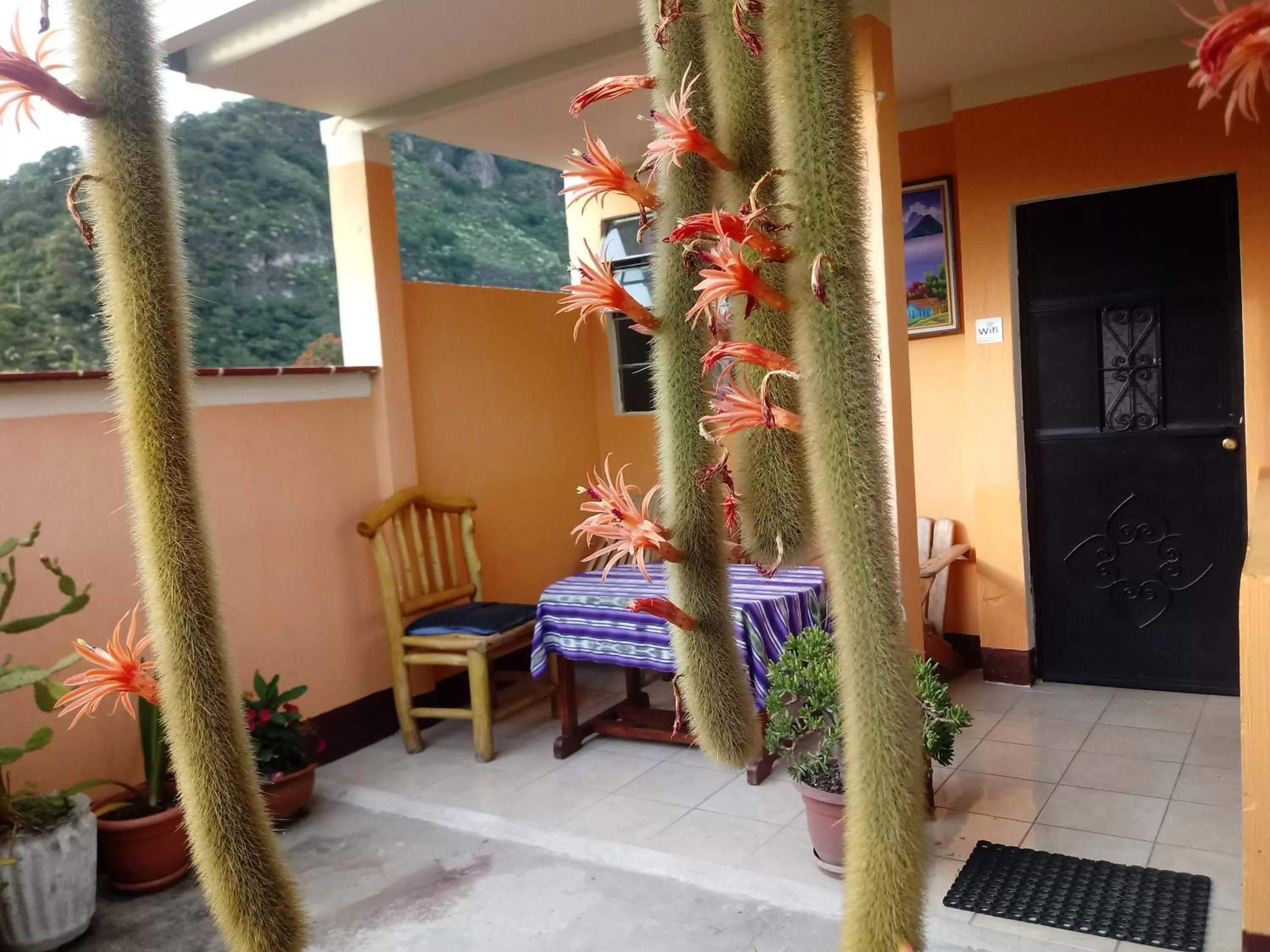 Balcony/Terrace in Hospedaje El Viajero