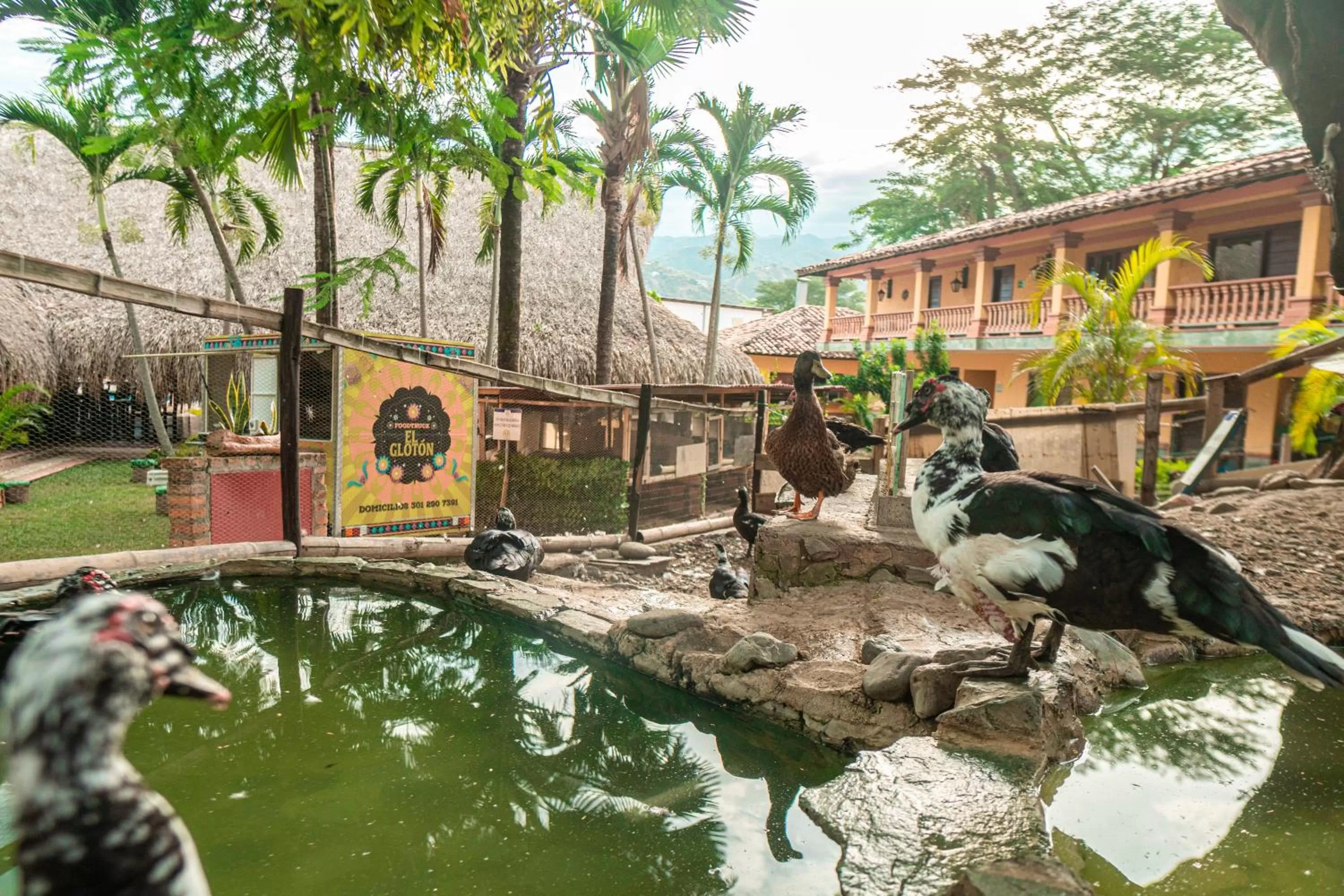 Animals in Hotel Portón del Sol