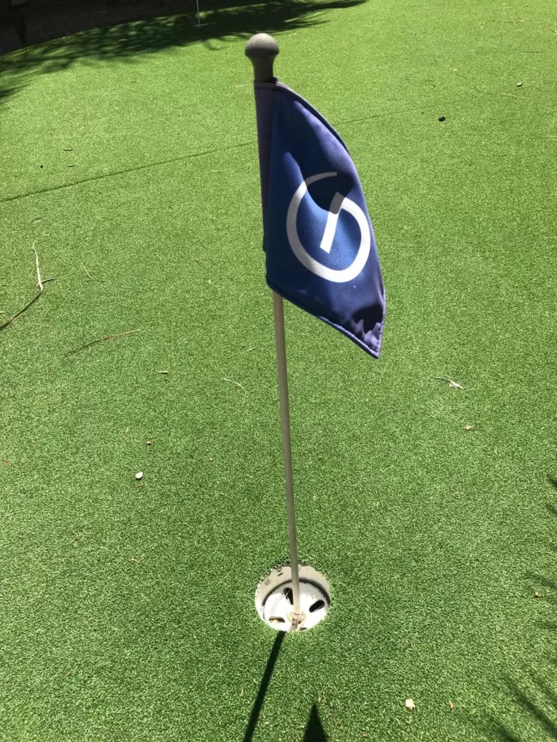 Minigolf in Hilton Vacation Club Varsity Club Tucson