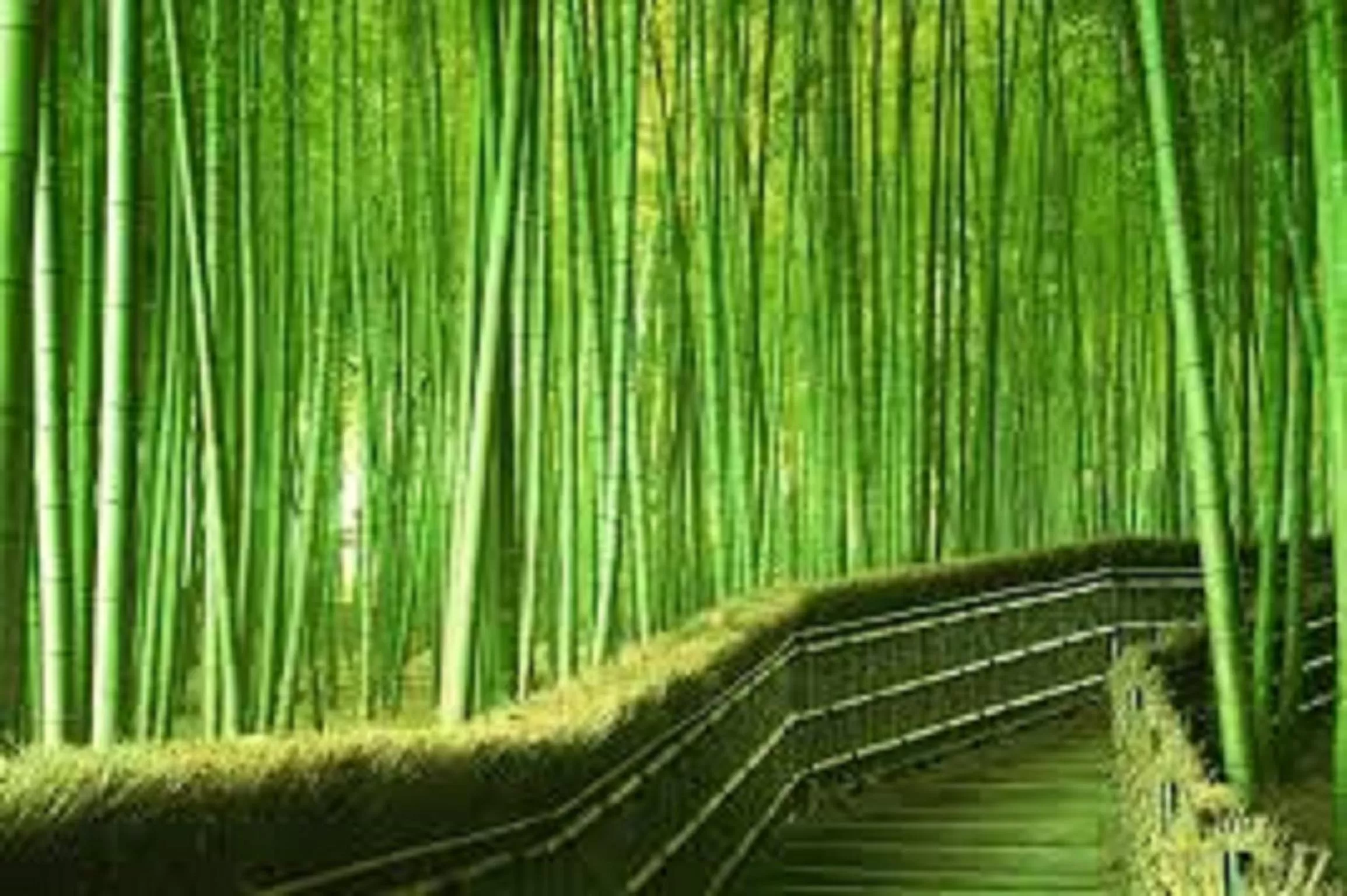 Activities in Premiere Classe Ales - Anduze