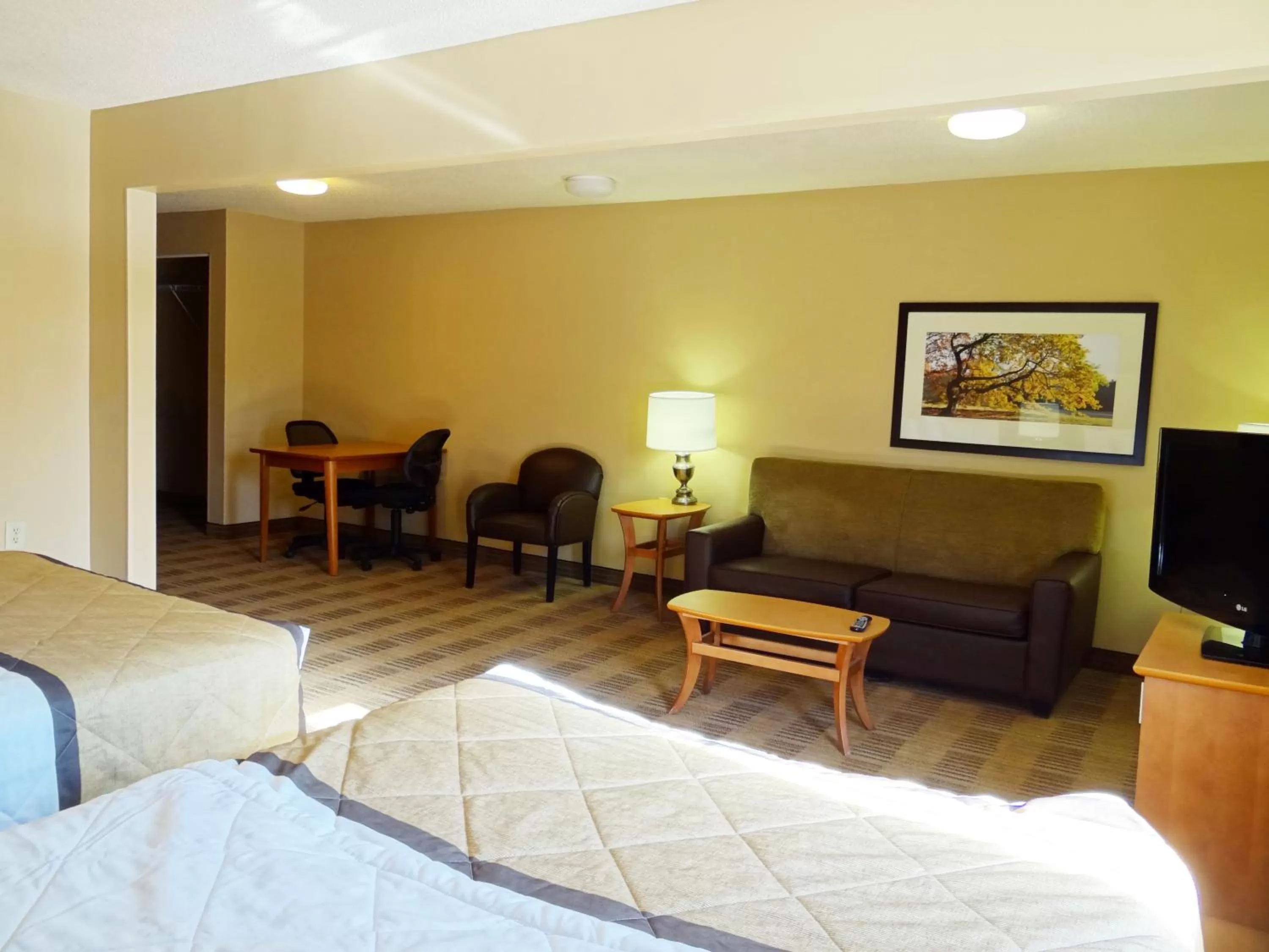 TV and multimedia, Bed in Extended Stay America Select Suites - Columbia - Gateway Drive