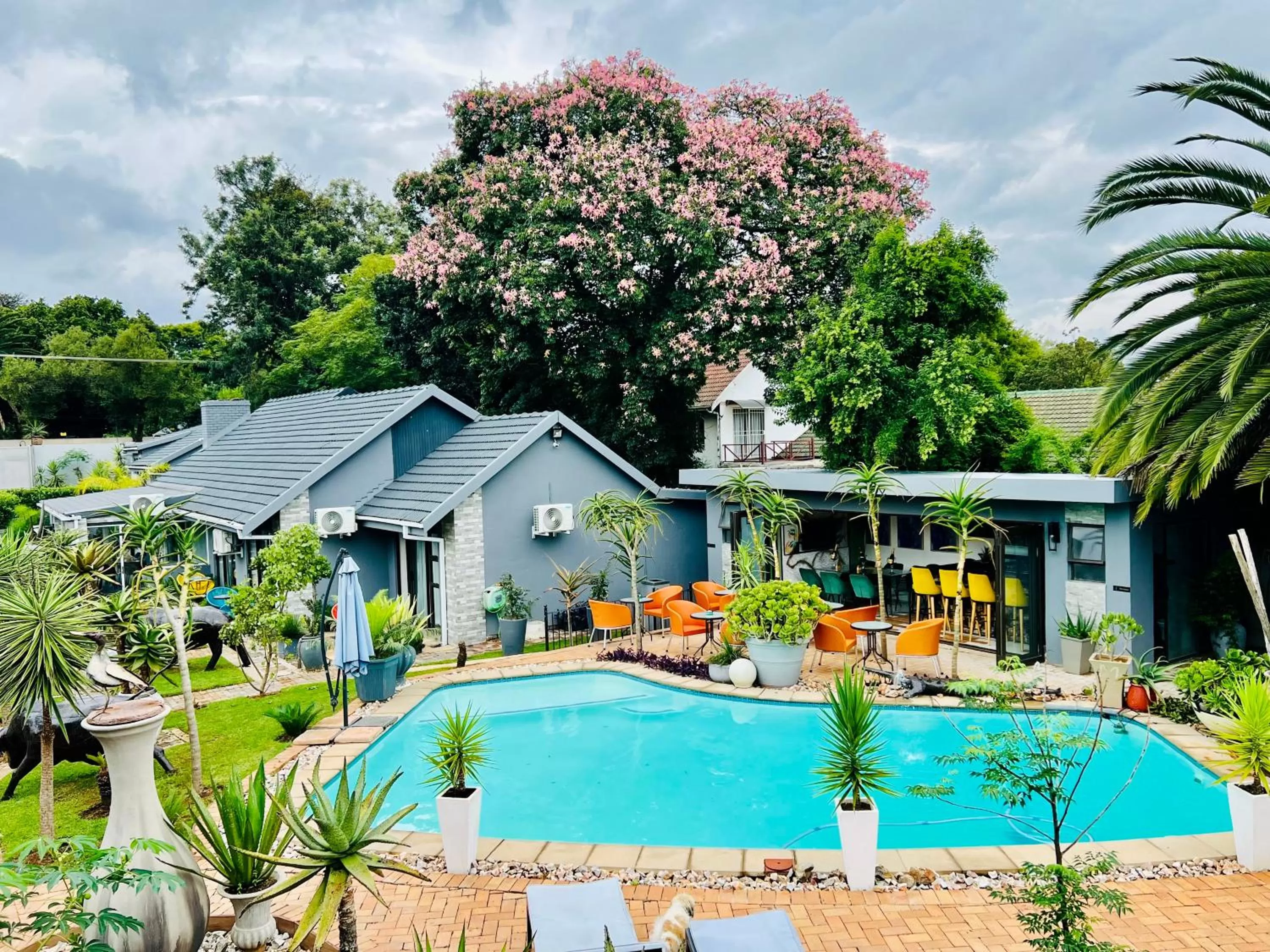 Swimming Pool in 24 On Basil Inventive suites