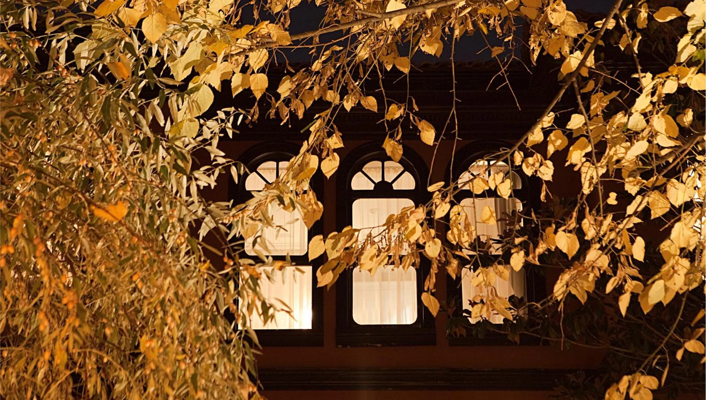 Property building in Kitapevi Hotel