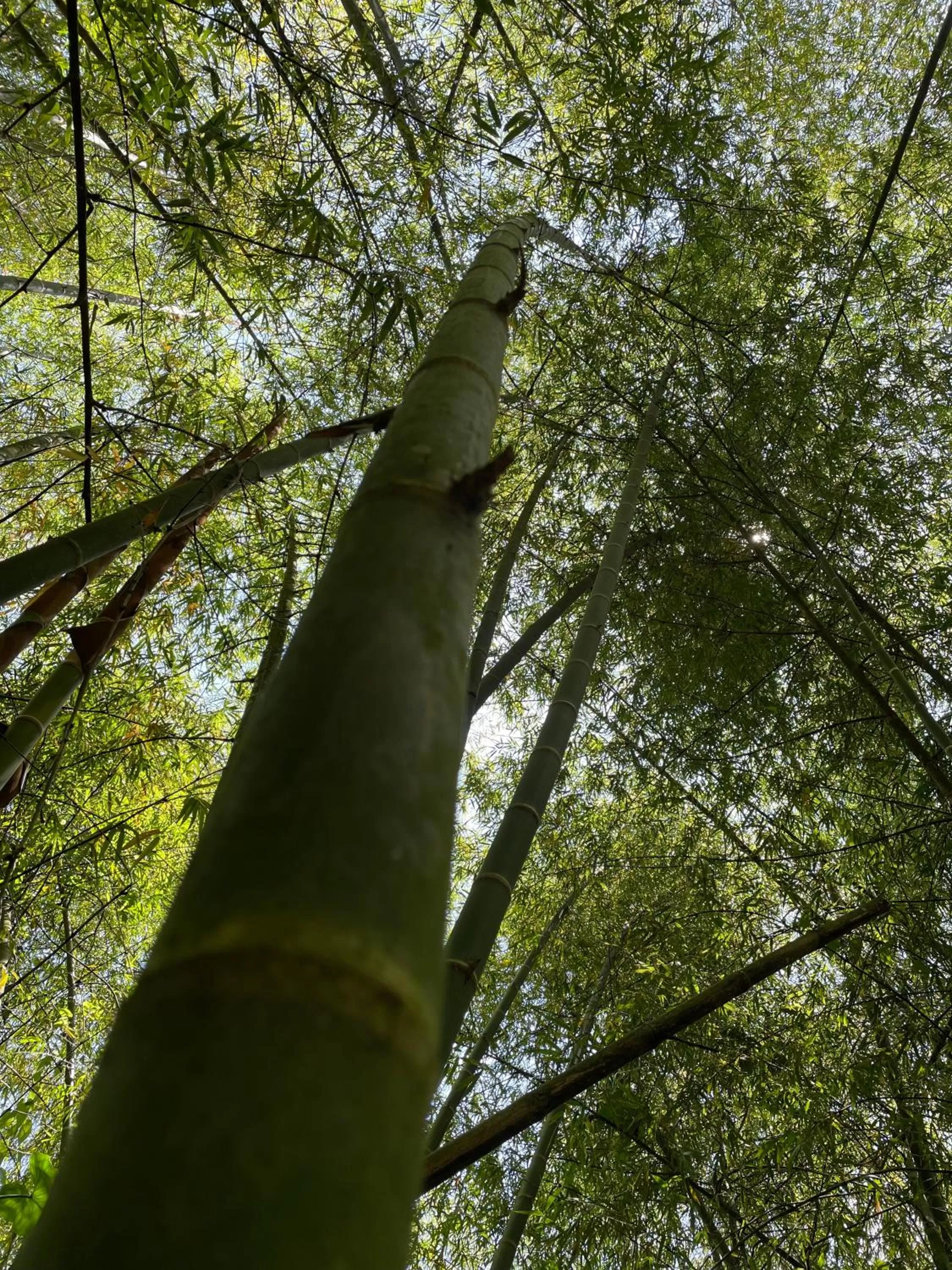 Activities in MuchoSur Quimbaya