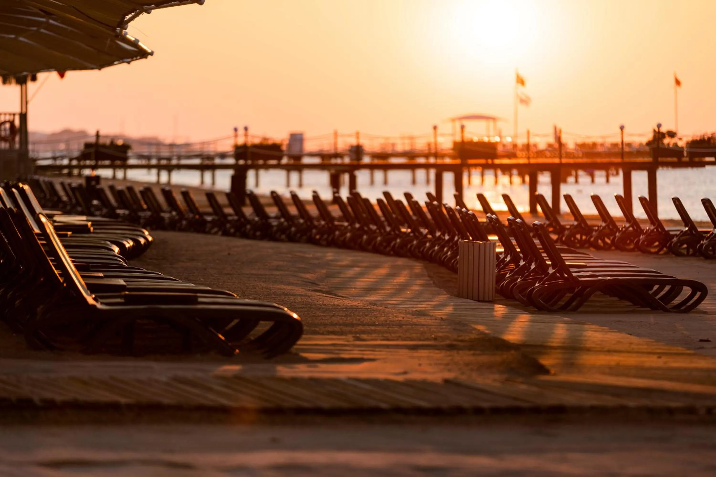 Natural landscape in Susesi Luxury Resort