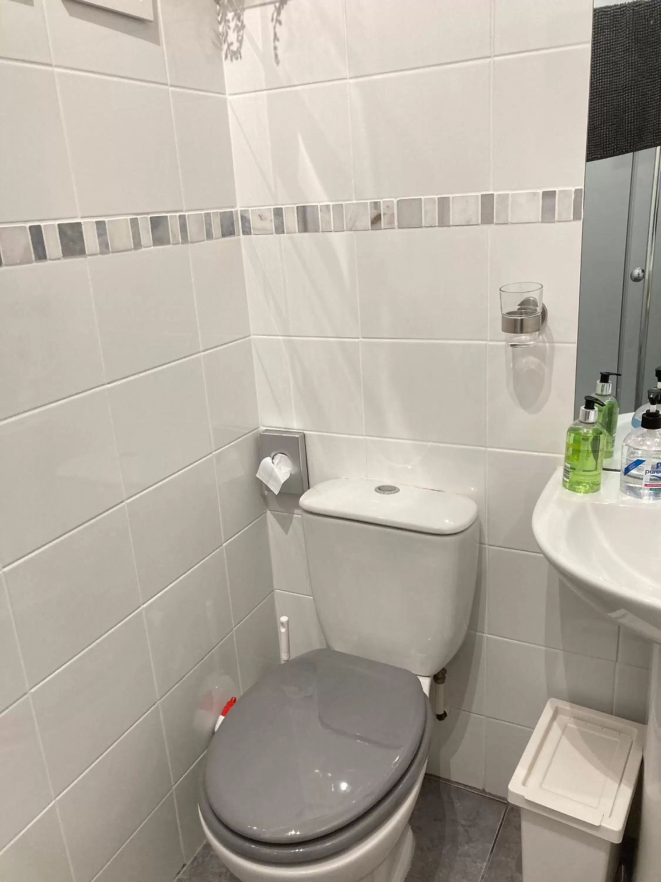 Toilet in Hillcrest Bed & Breakfast