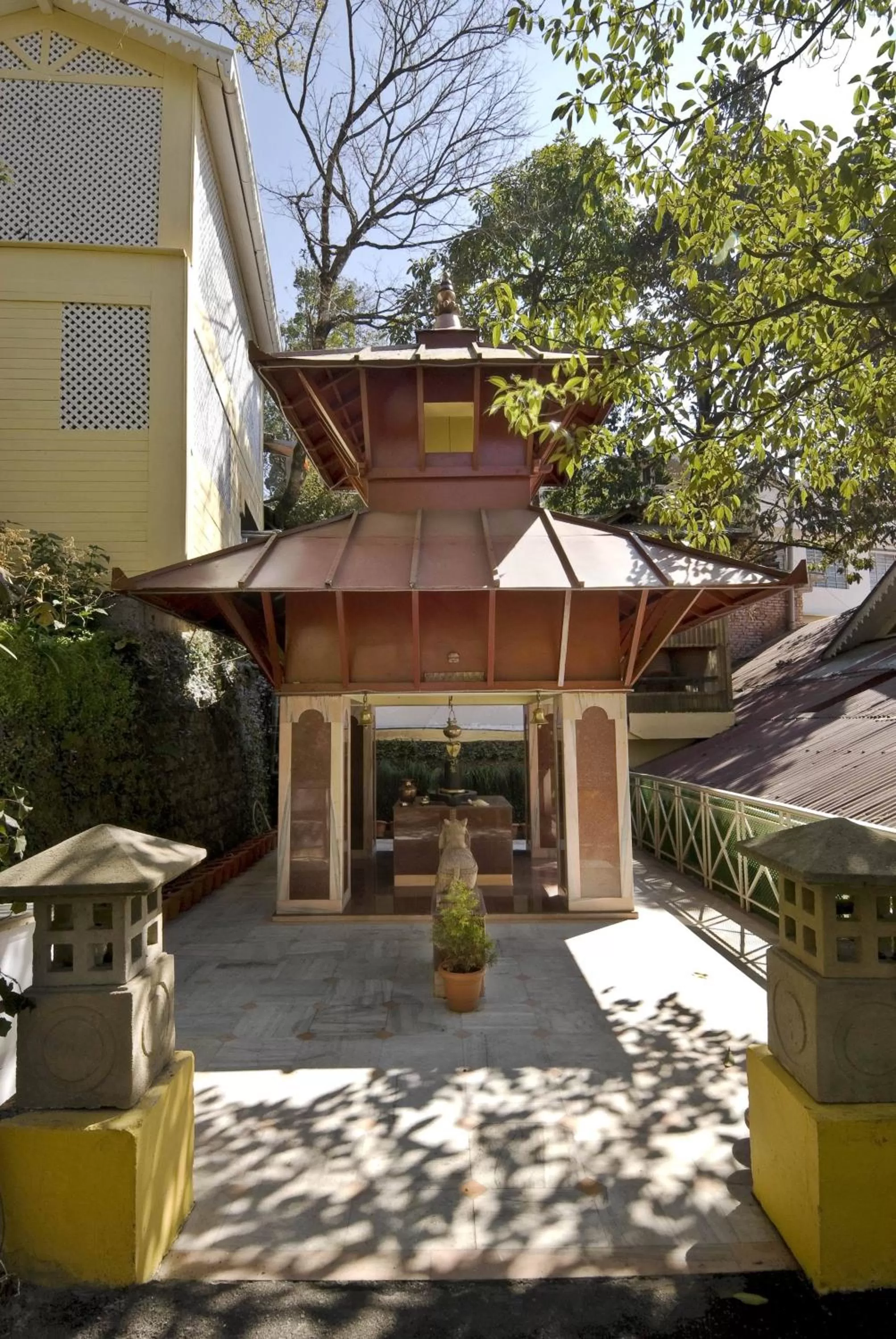 Day in Mayfair Darjeeling