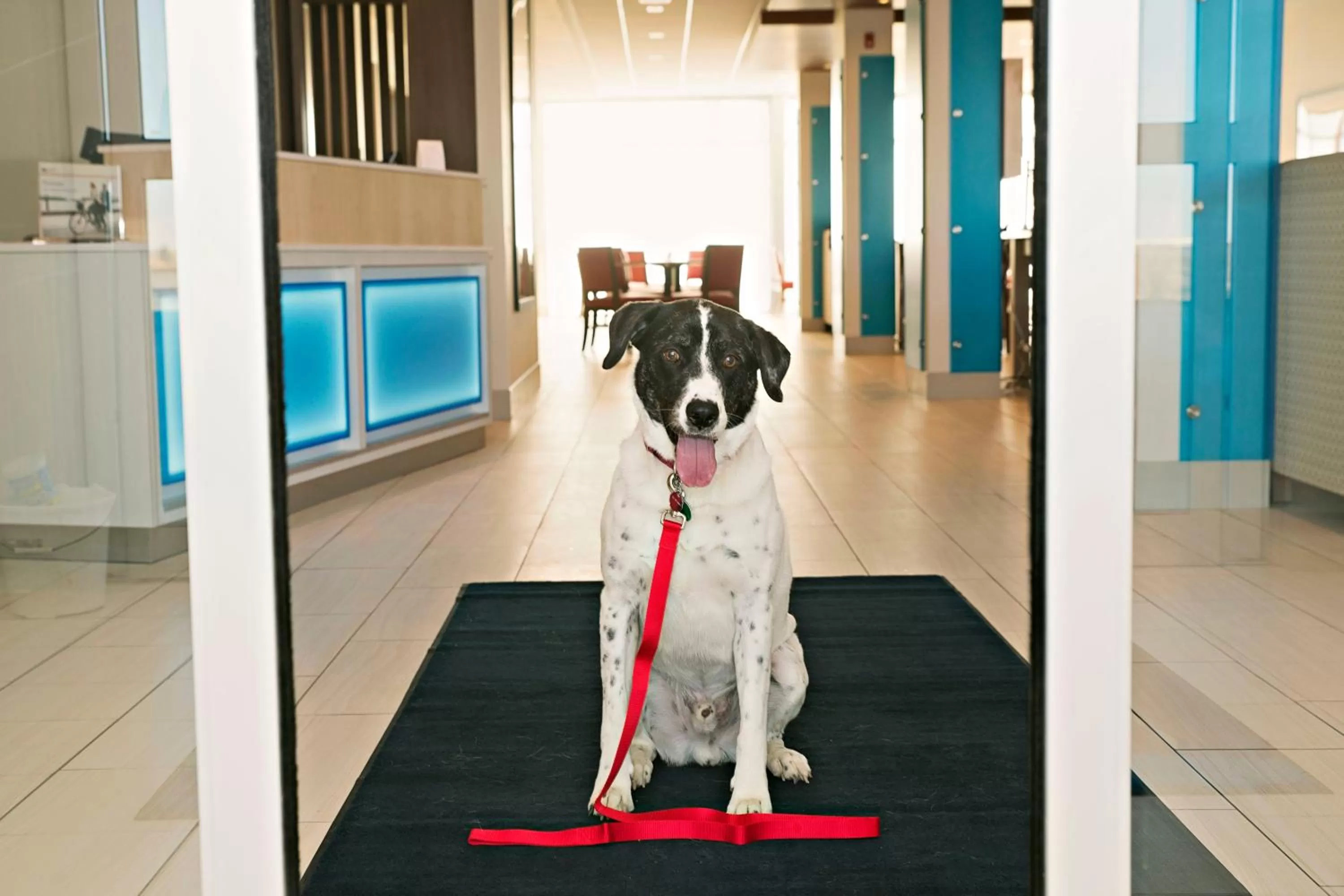 Decorative detail in Holiday Inn Express & Suites - Rantoul by IHG