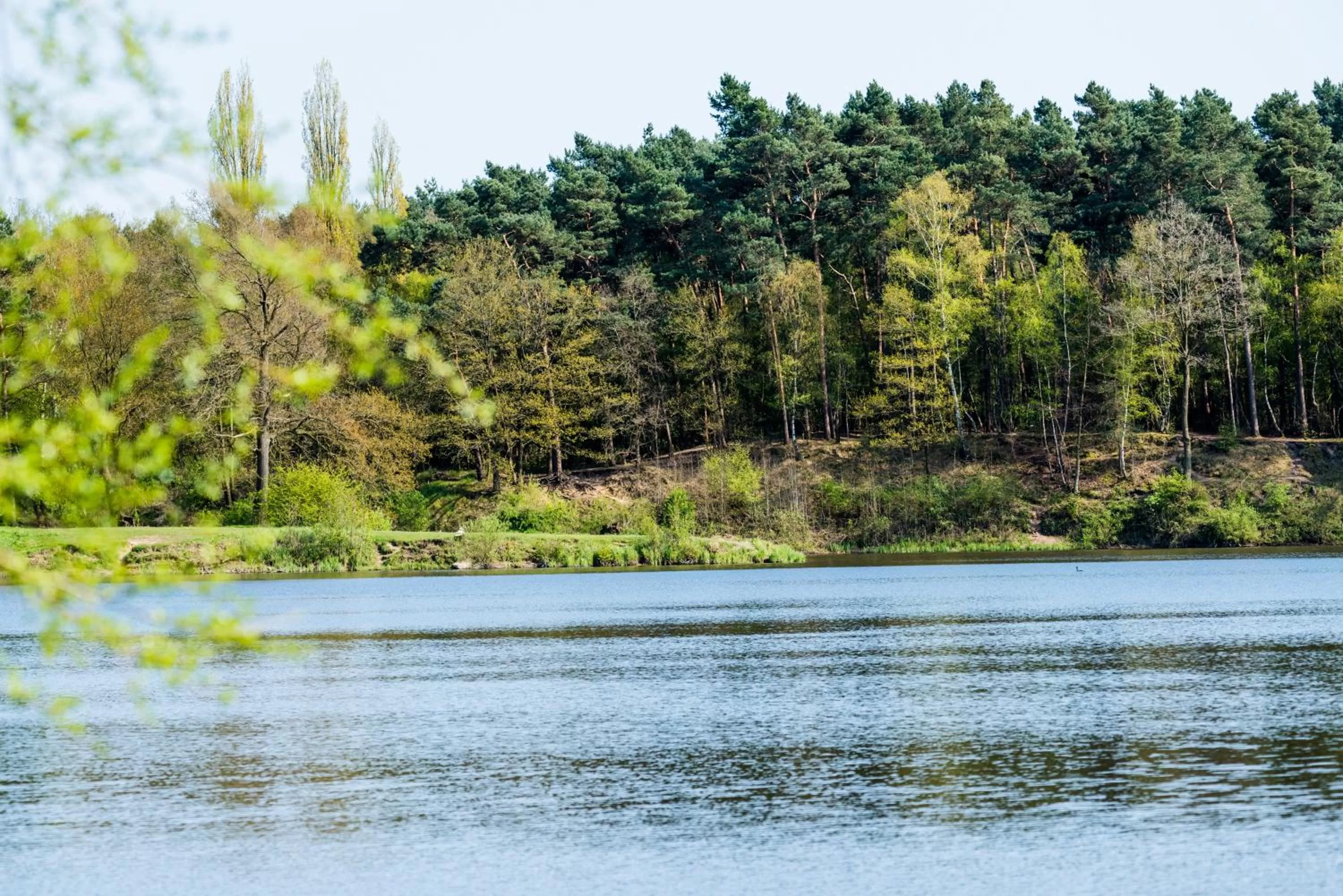 Nearby landmark in Waldhotel Schipp-Hummert