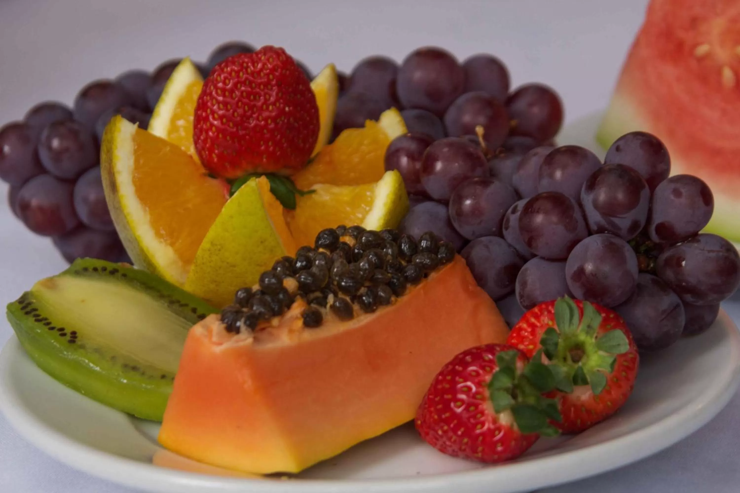 Food and drinks in Bristol Metropolitan Curitiba Centro