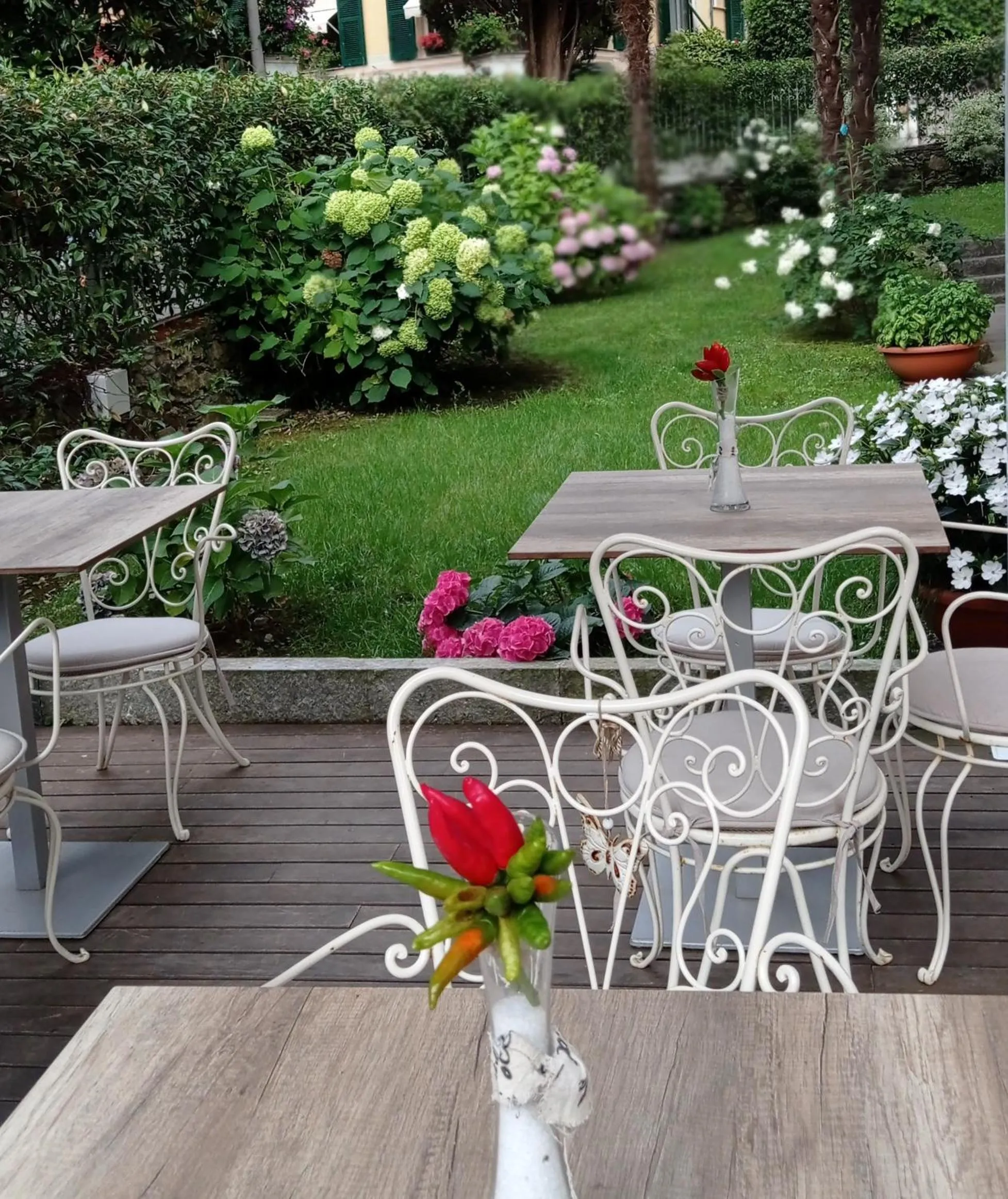 Patio in Hotel Sant'Andrea