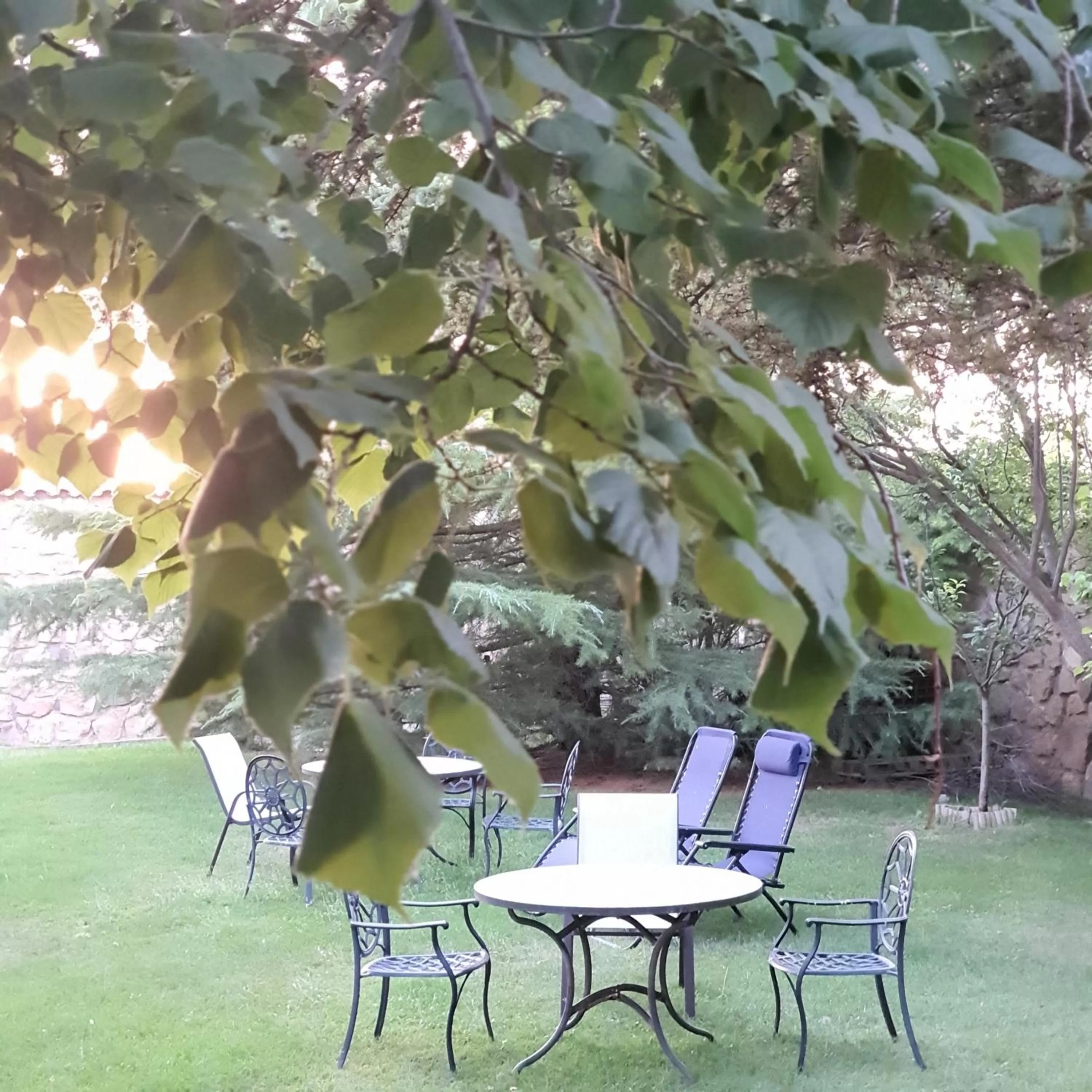 Garden in Hospedería Ballesteros