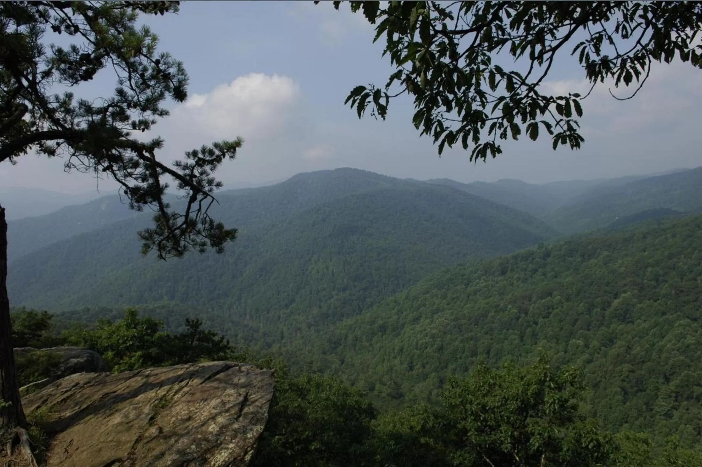 Natural landscape, Mountain View in Black Forest Bed & Breakfast