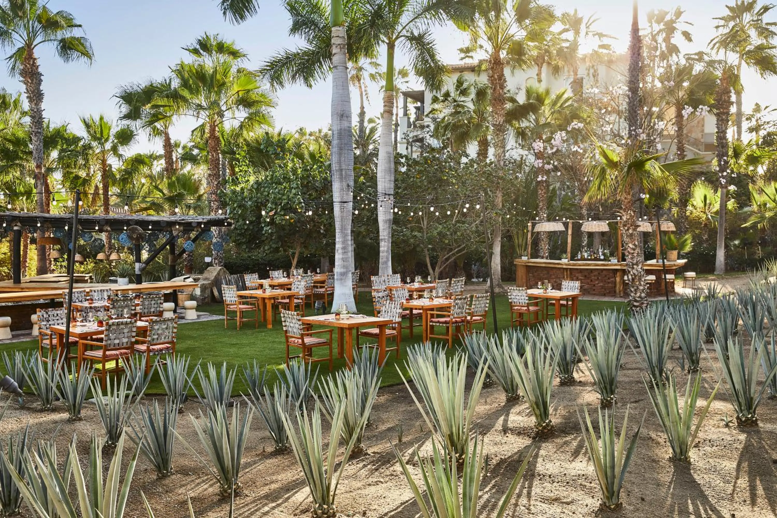 Garden in Esperanza, Auberge Collection