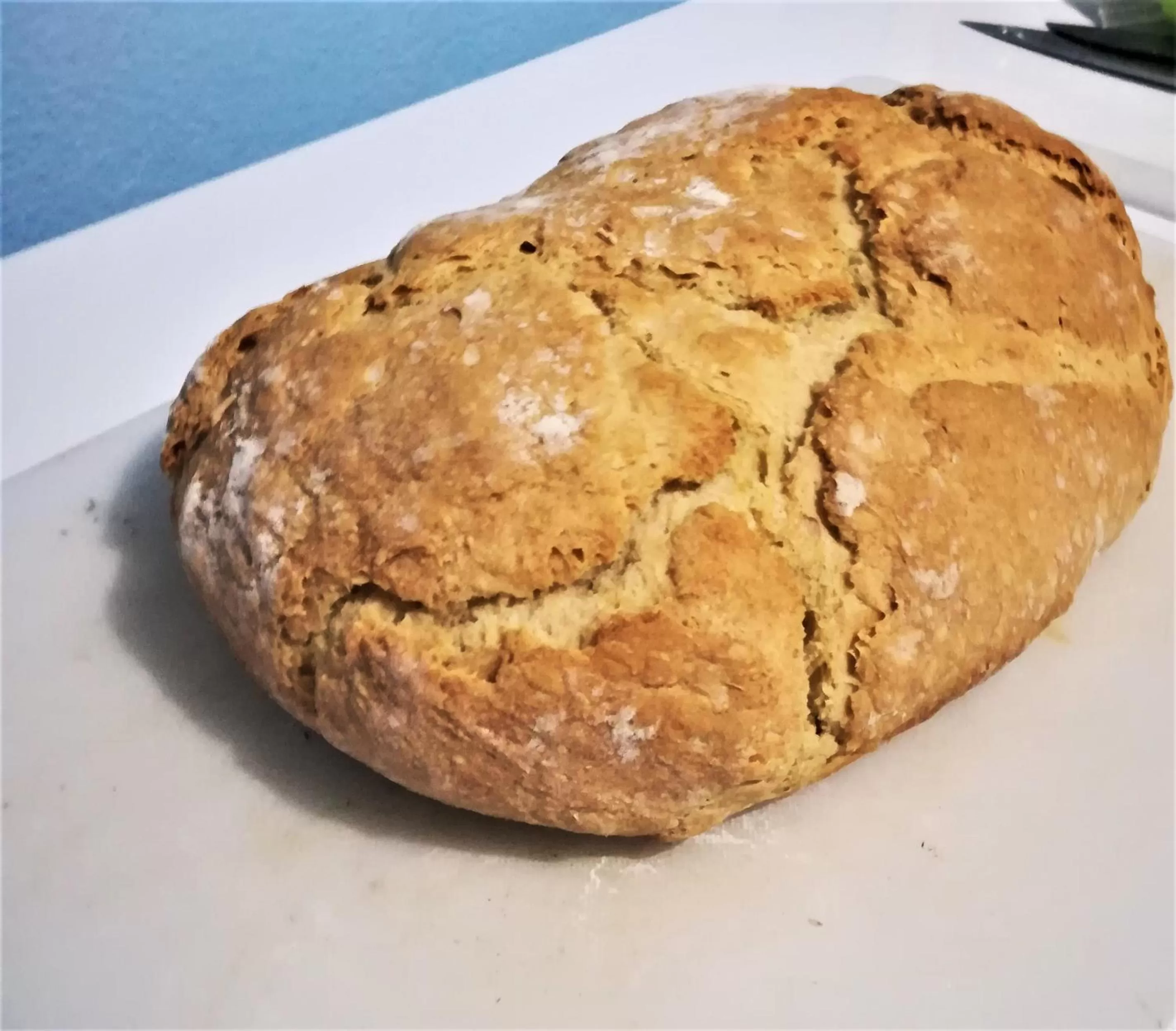 Food in TOGA GUEST HOUSE