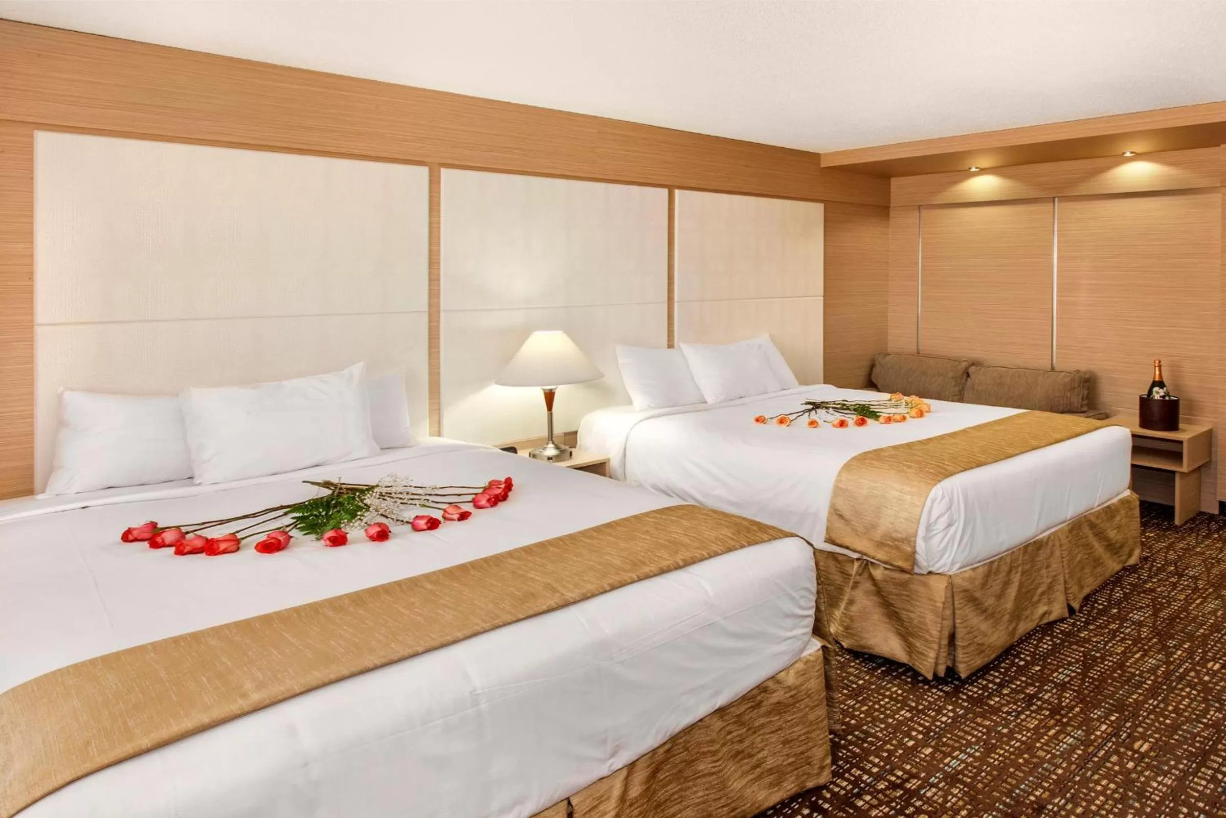 Photo of the whole room, Bed in Ocean Beach Club