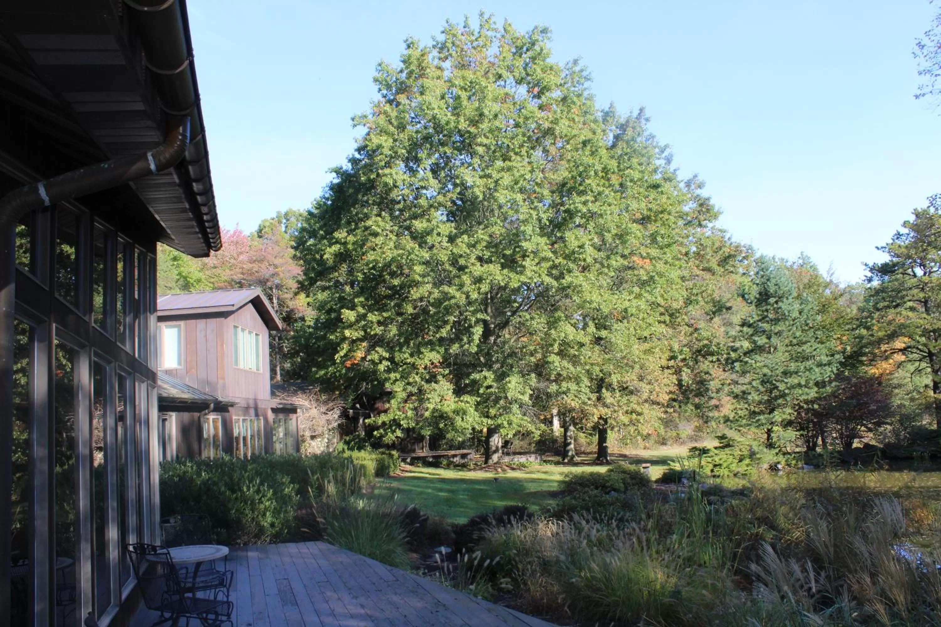 Garden view in The Inn at White Oak