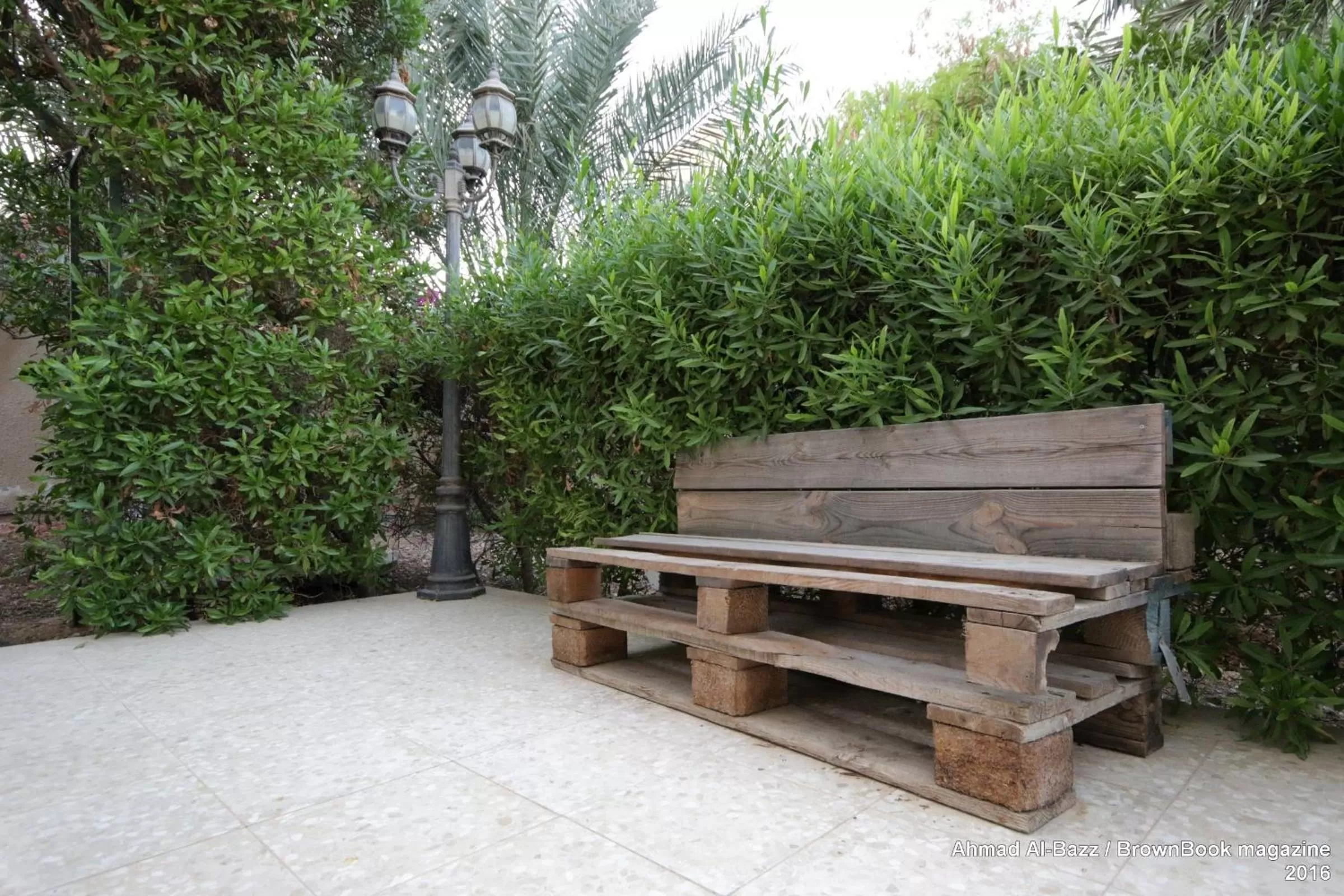 Garden in Auberg-Inn Guesthouse