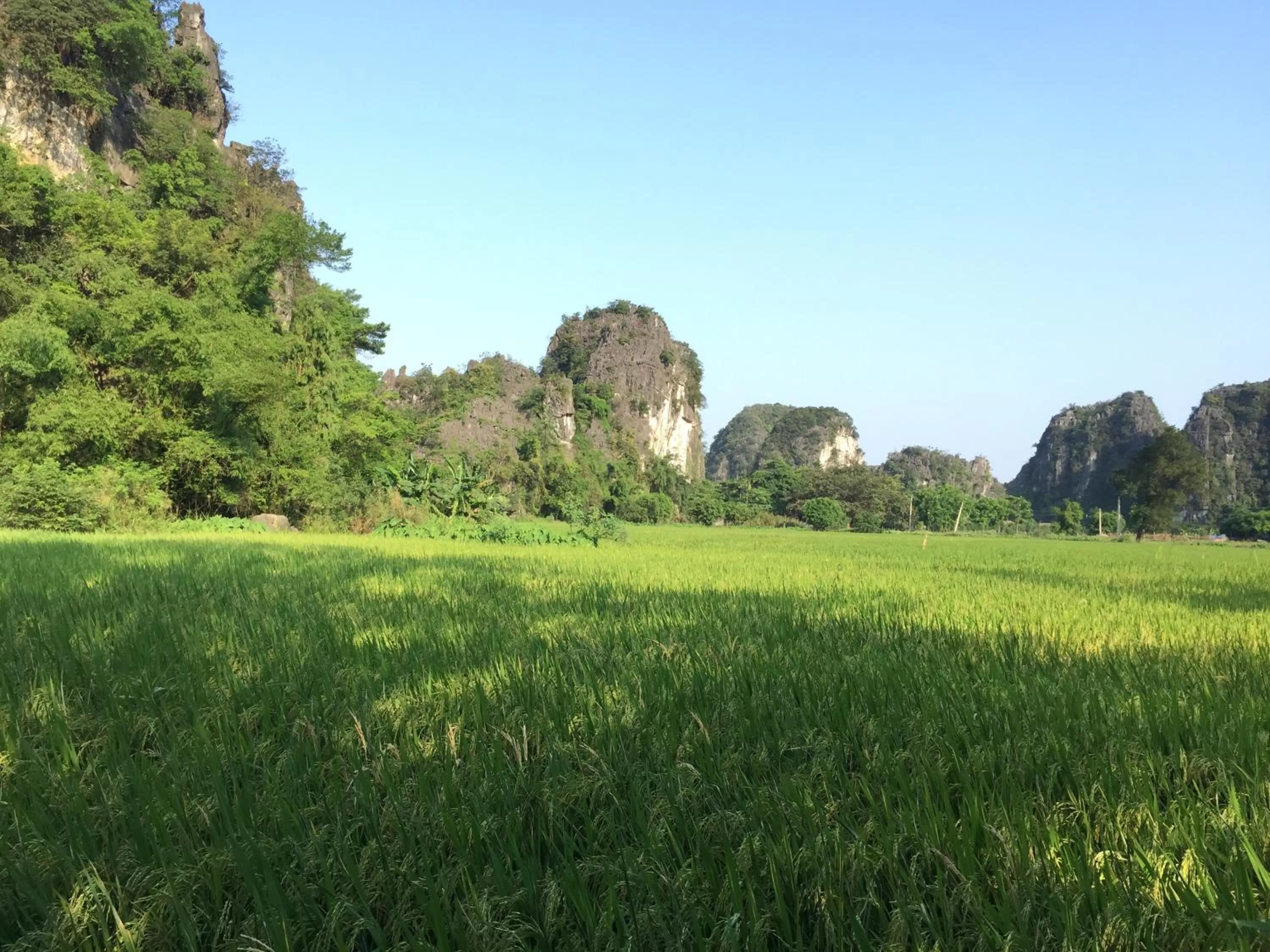 Nearby landmark in Tam Coc Vinh Thinh Homestay