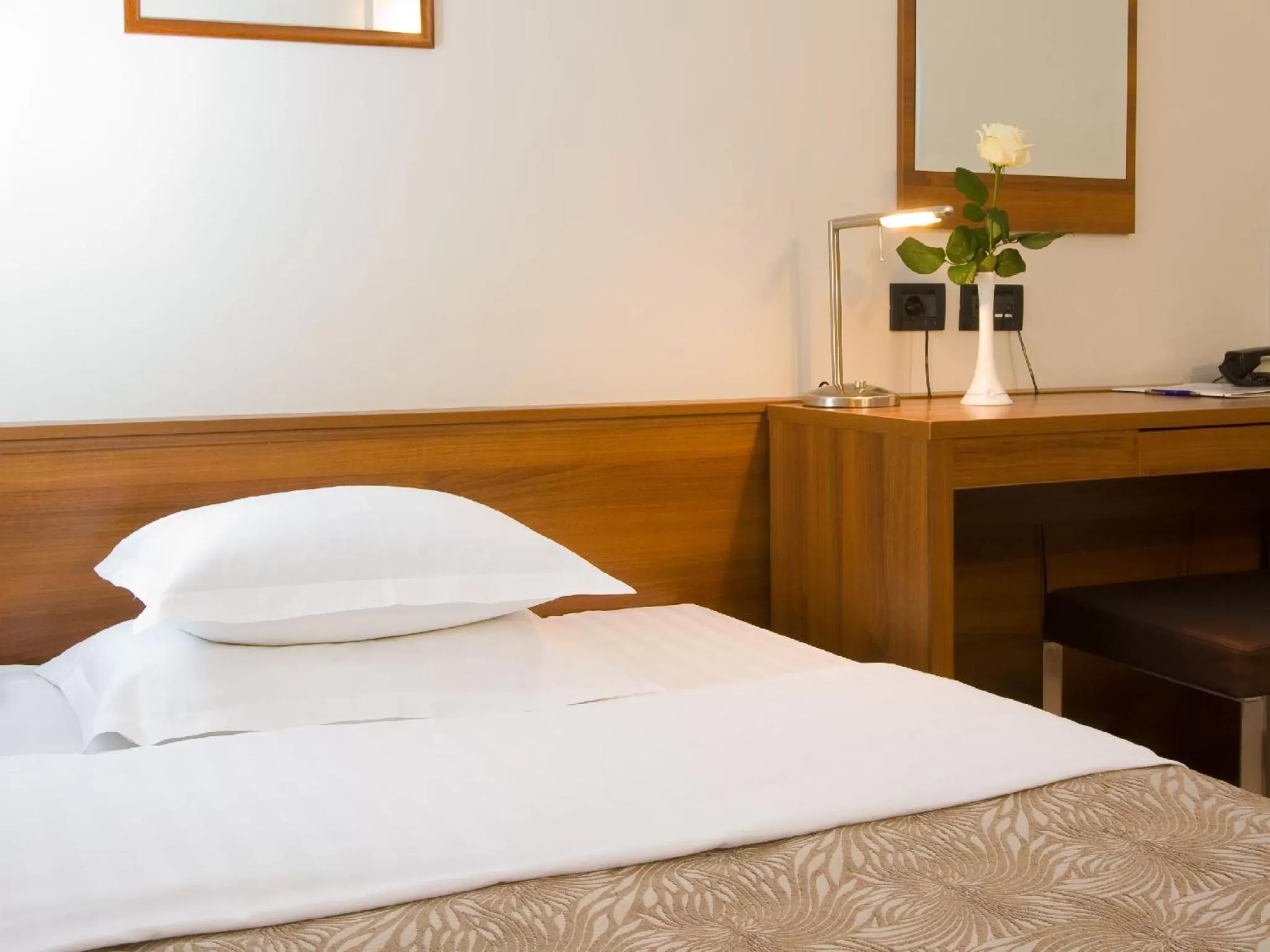 Standard Double or Twin Room - single occupancy in Hotel Laguna Zagreb