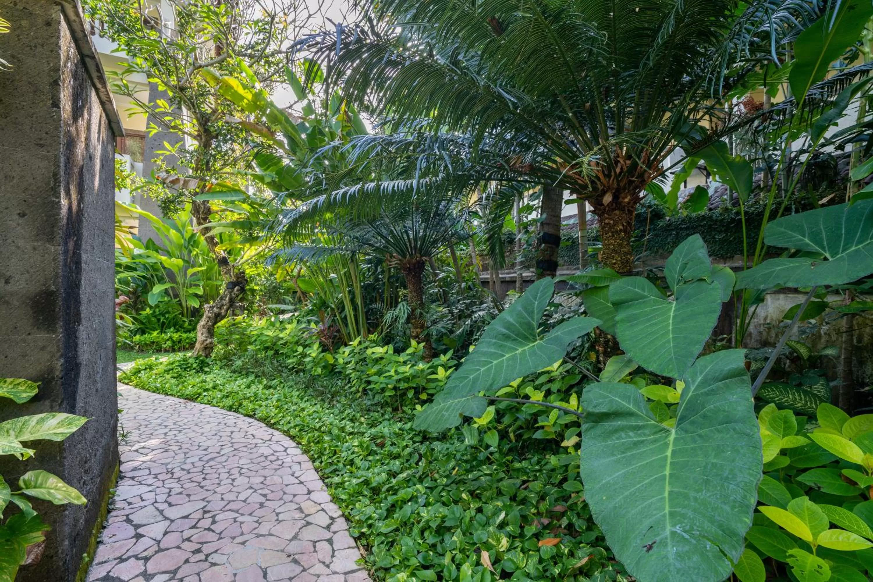 Garden in Hotel Kumala Pantai