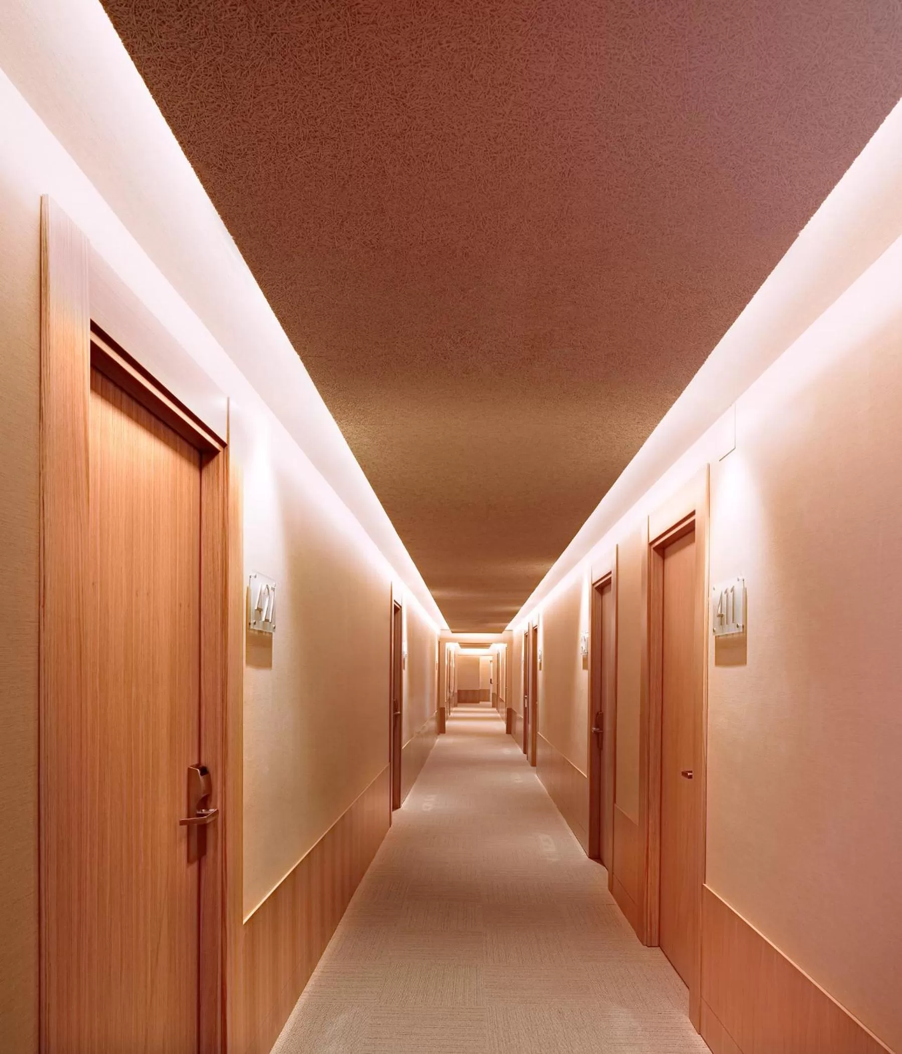 Area and facilities in Barceló León Conde Luna