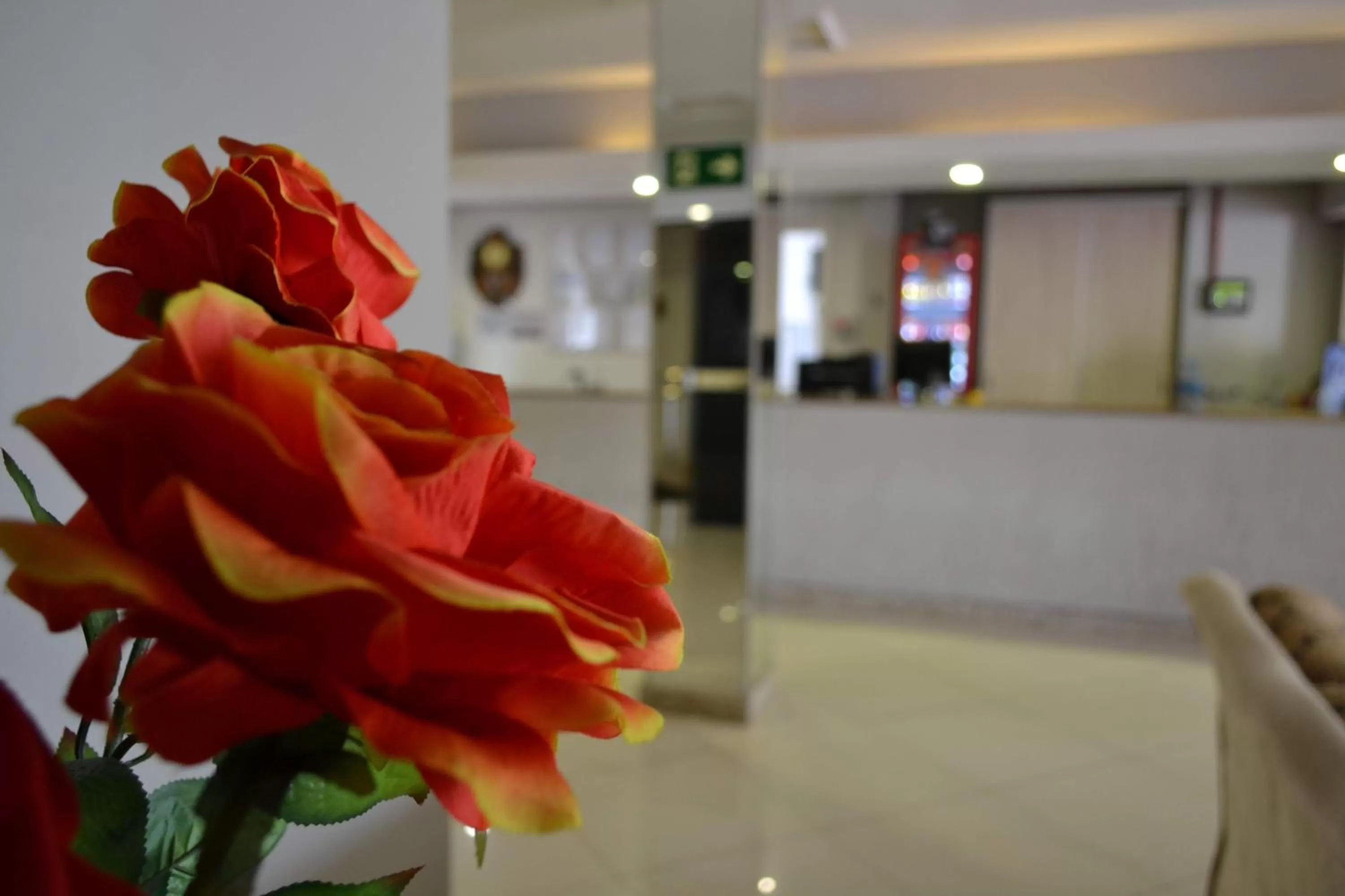 Lobby or reception in Hotel Baviera Iguassu