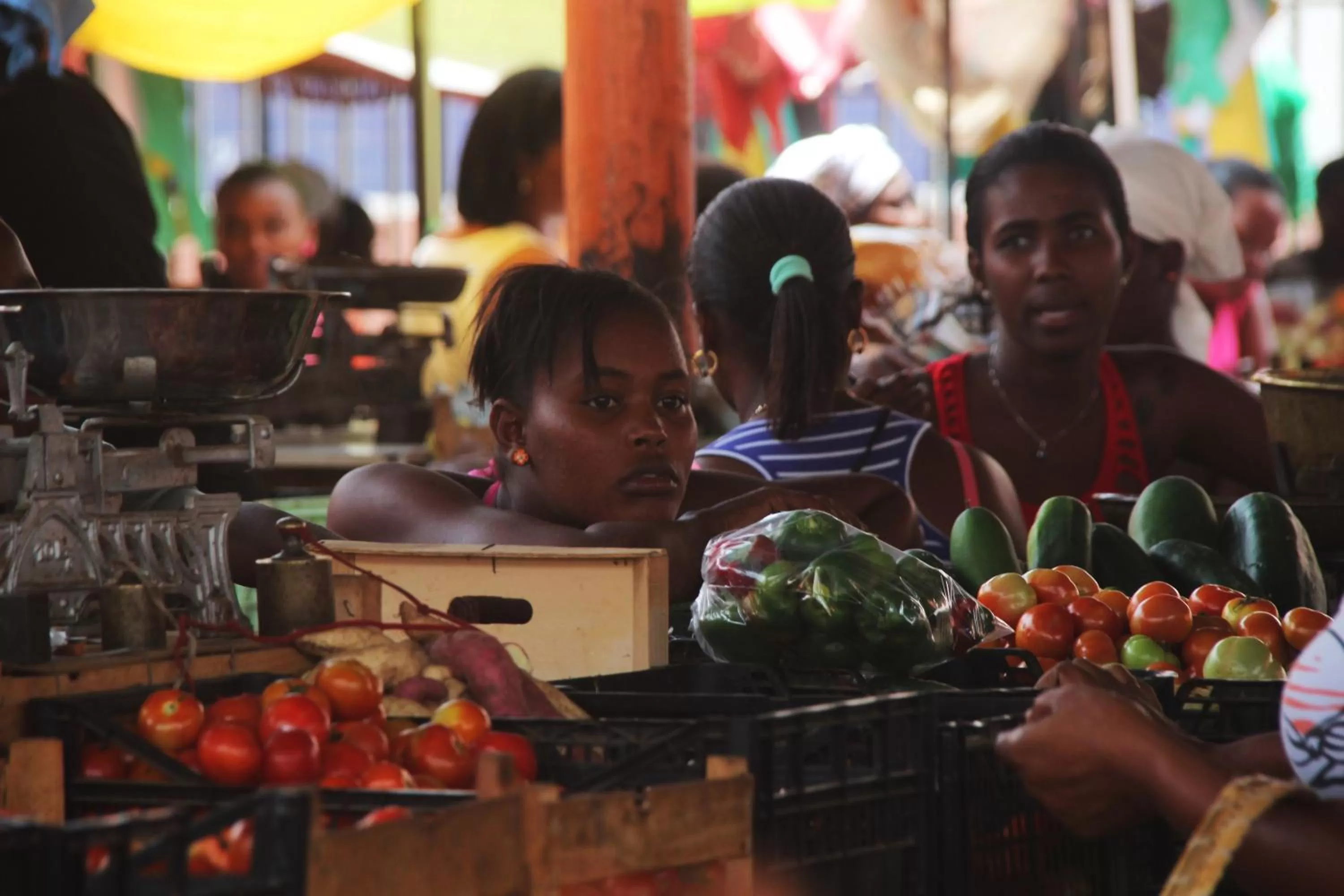 Other in O Jardim do Vinho