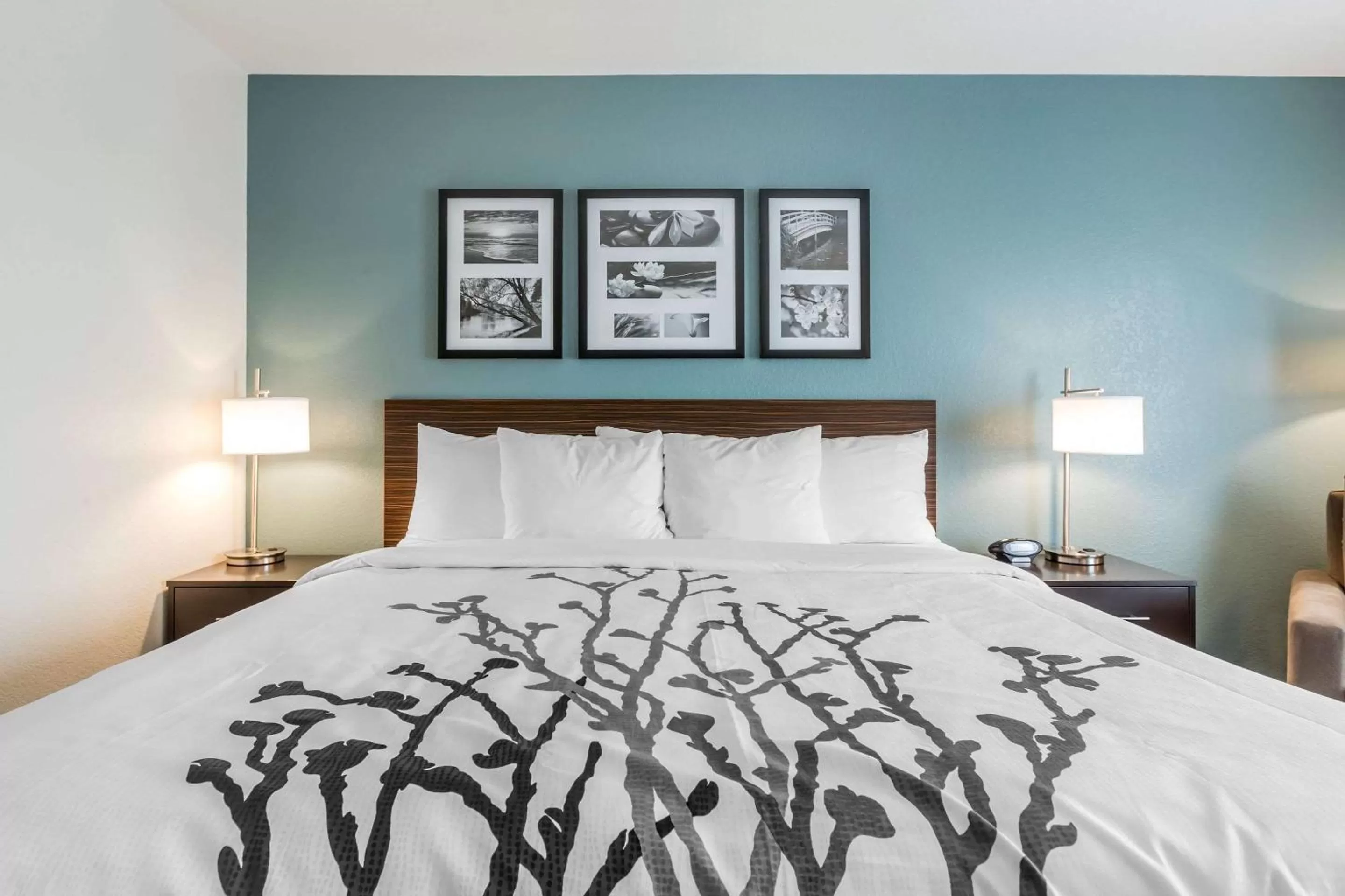 Photo of the whole room, Bed in Sleep Inn & Suites West Des Moines near Jordan Creek