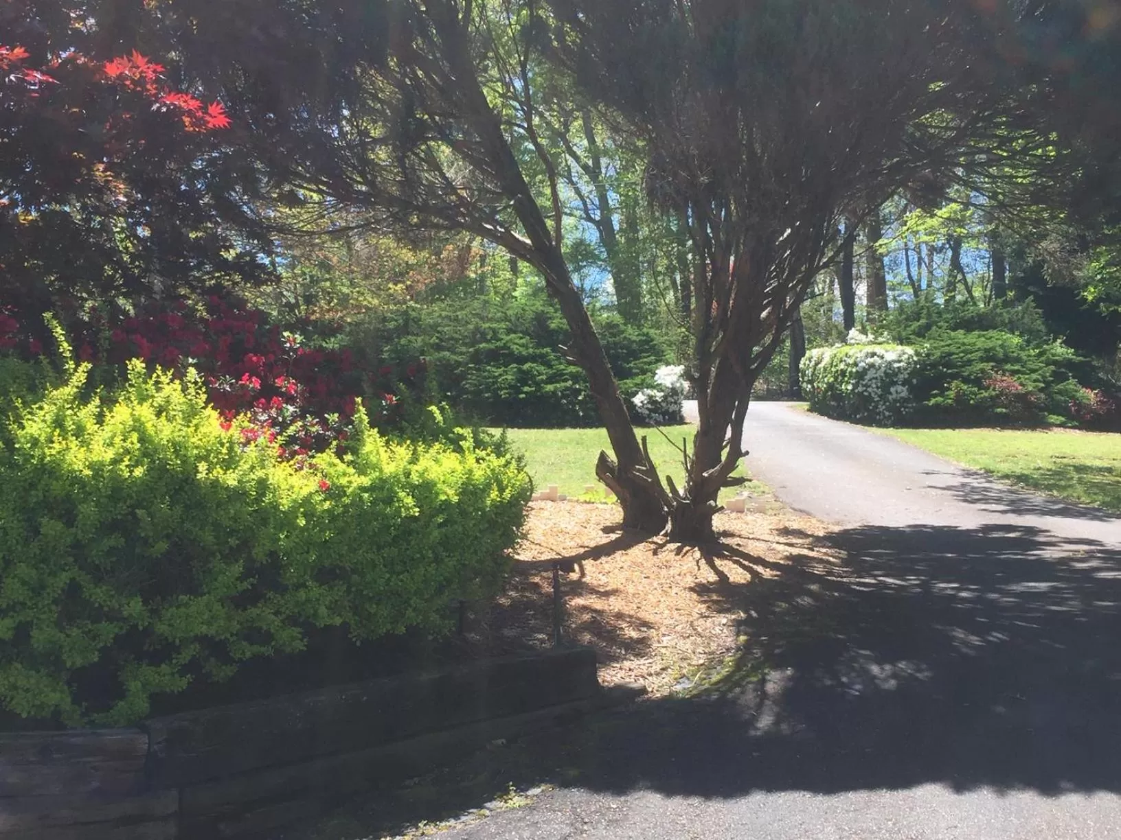 Natural landscape, Garden in Hidden Valley B&B