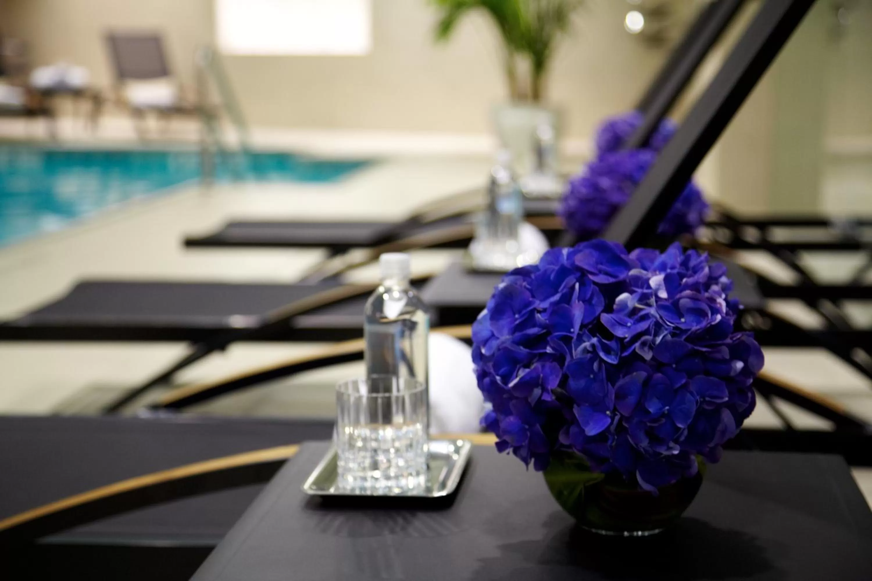 Swimming pool in Trump International New York