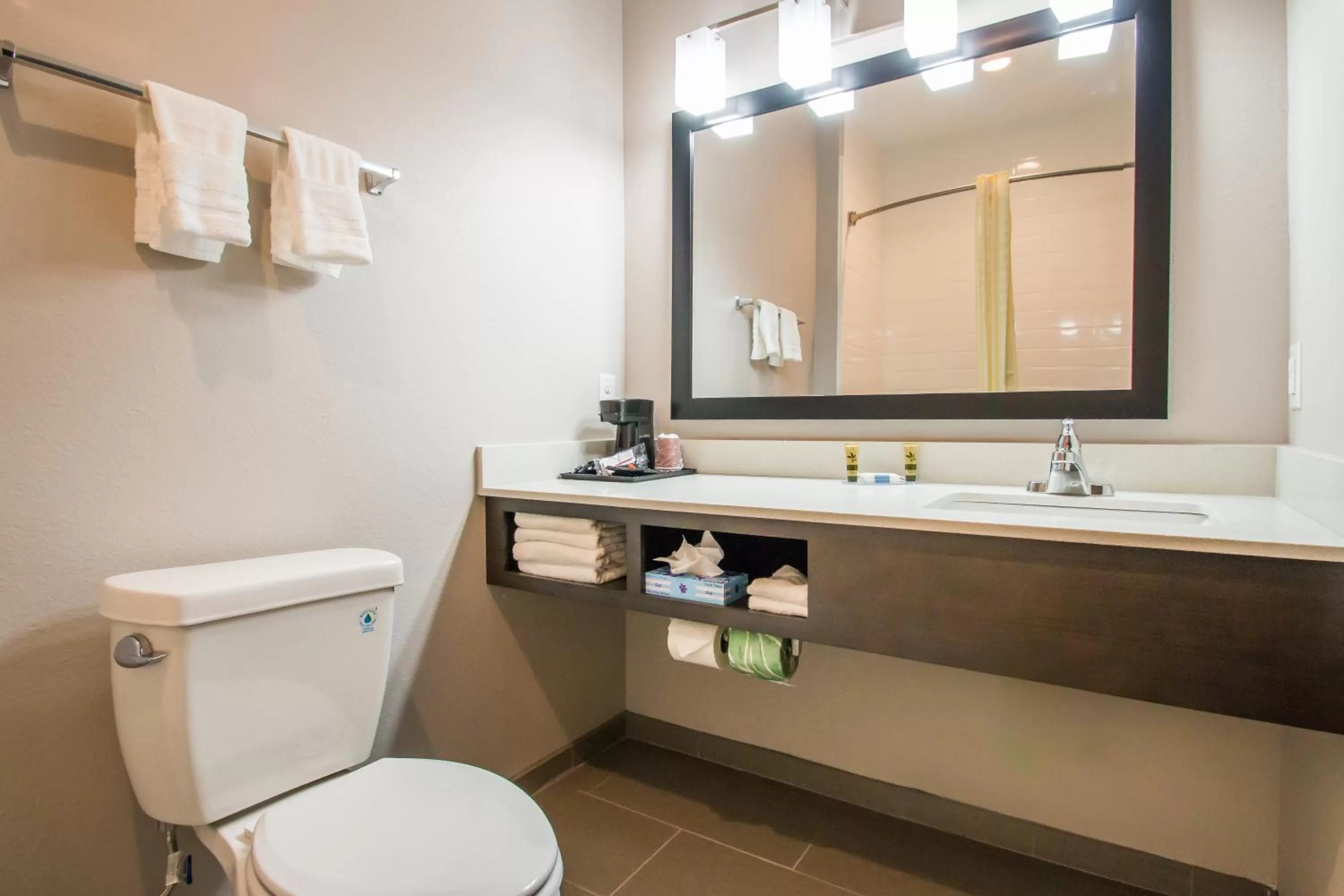 Bathroom in Executive Inn Fort Worth West