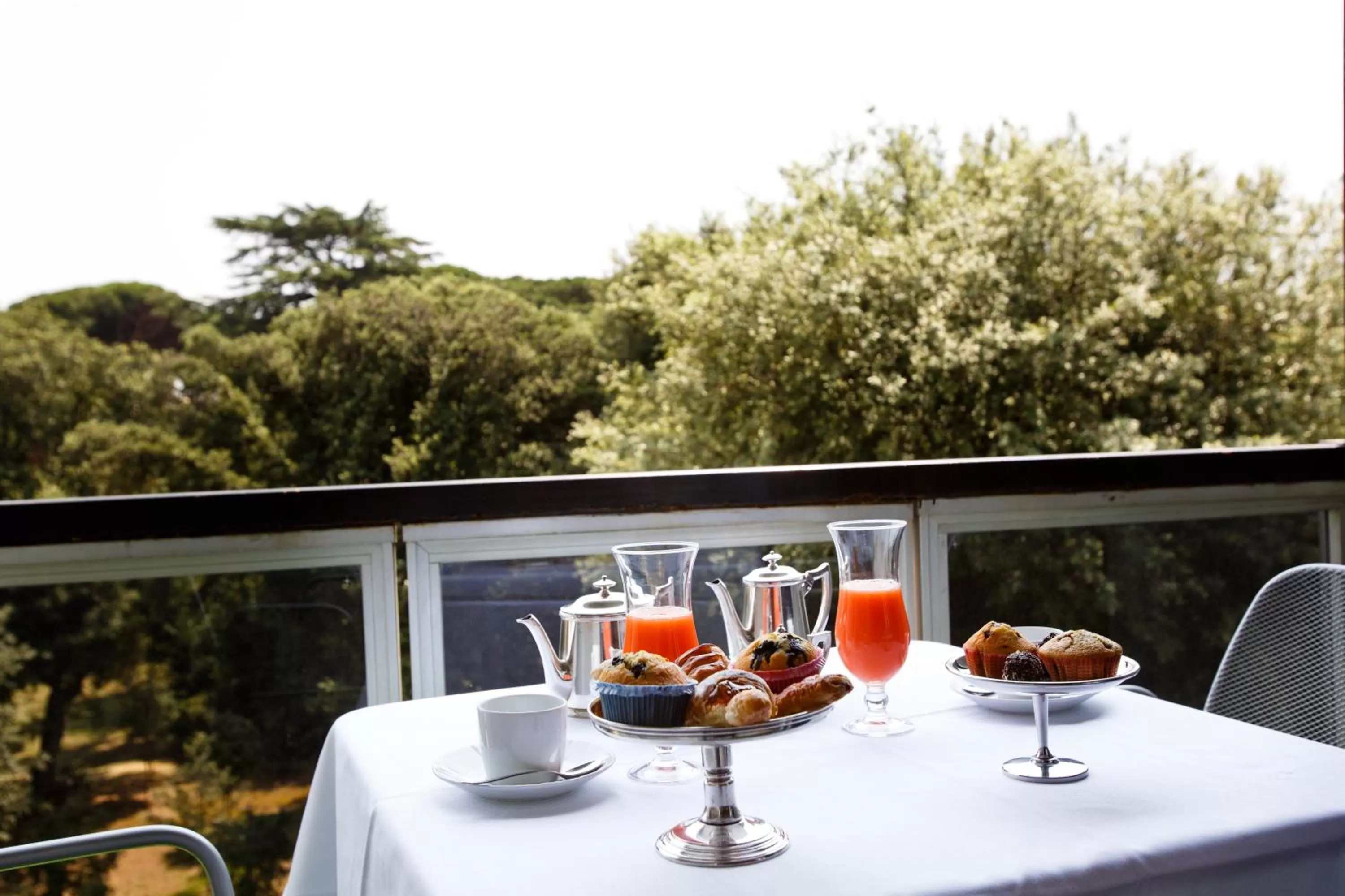 Balcony/Terrace in Albani Hotel Roma