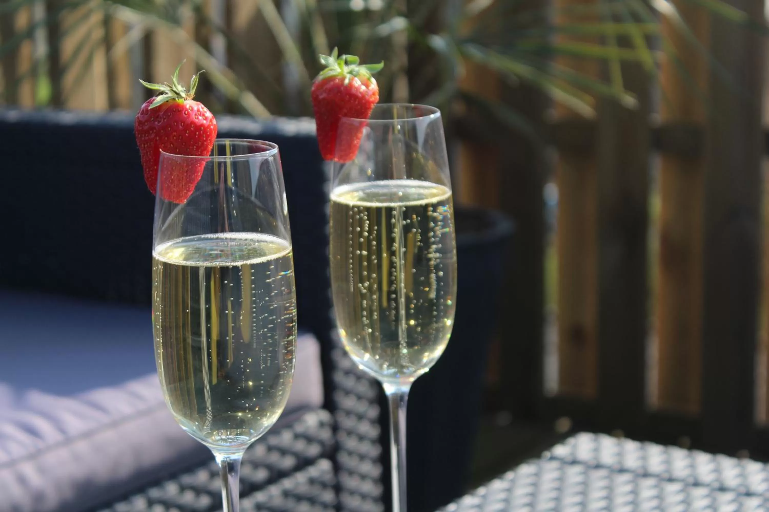 Drinks in B&B Afrodite